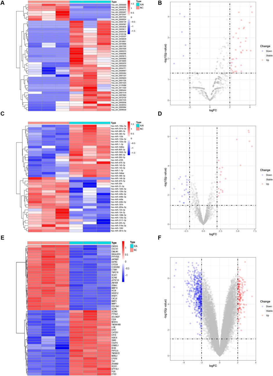 Heatmaps and volcano plots depicting gene expression data. Panels A, C, and E show clustered heatmaps with color gradients from blue to red indicating expression levels. Panels B, D, and F display volcano plots with points representing log fold change versus negative log p-value, indicating differential gene expression. Red and blue dots indicate genes with increased or decreased expression, respectively. Black dashed lines represent threshold values for statistical significance.
