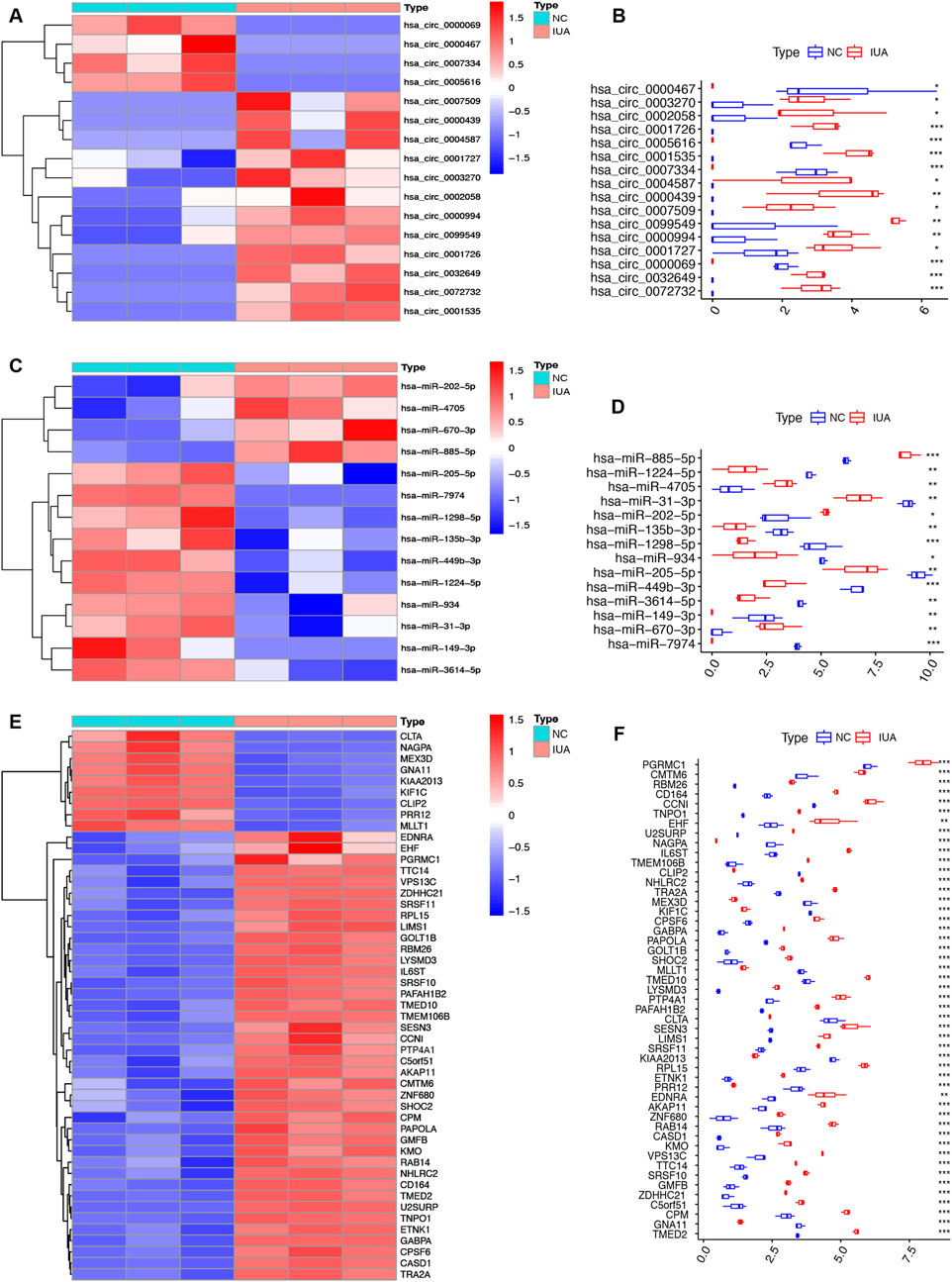 Heatmaps and box plots depict differential expression analysis. Panels A, C, and E show heatmaps for circRNAs, miRNAs, and mRNAs, respectively, with expression levels from blue to red. Panels B, D, and F feature corresponding box plots with samples categorized as NC (red) and IUA (blue), highlighting significant expression differences.
