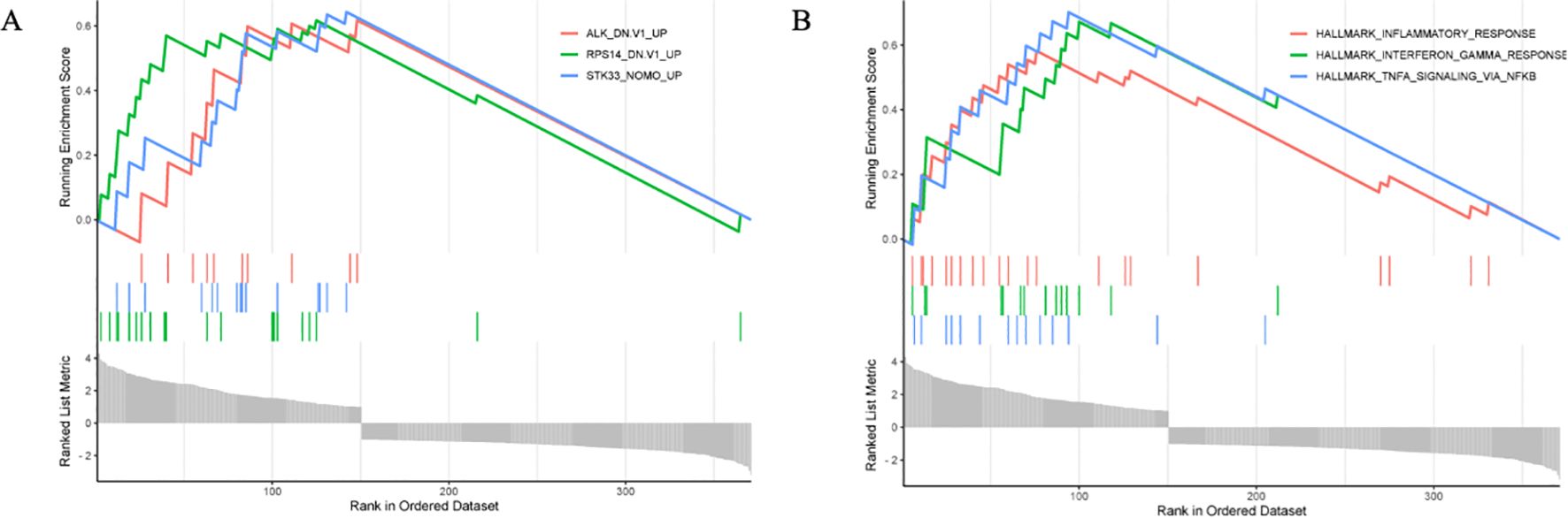 Two line graphs (A and B) show running enrichment scores against rank in ordered datasets. Graph A features ALK_DN_V1_UP, RPS14_DN_V1_UP, and STK33_NOMO_UP pathways. Graph B includes HALLMARK_INFLAMMATORY_RESPONSE, HALLMARK_INTERFERON_GAMMA_RESPONSE, and HALLMARK_TNFA_SIGNALING_VIA_NFKB pathways. Both have colored lines representing different pathways and a ranked list metric below.