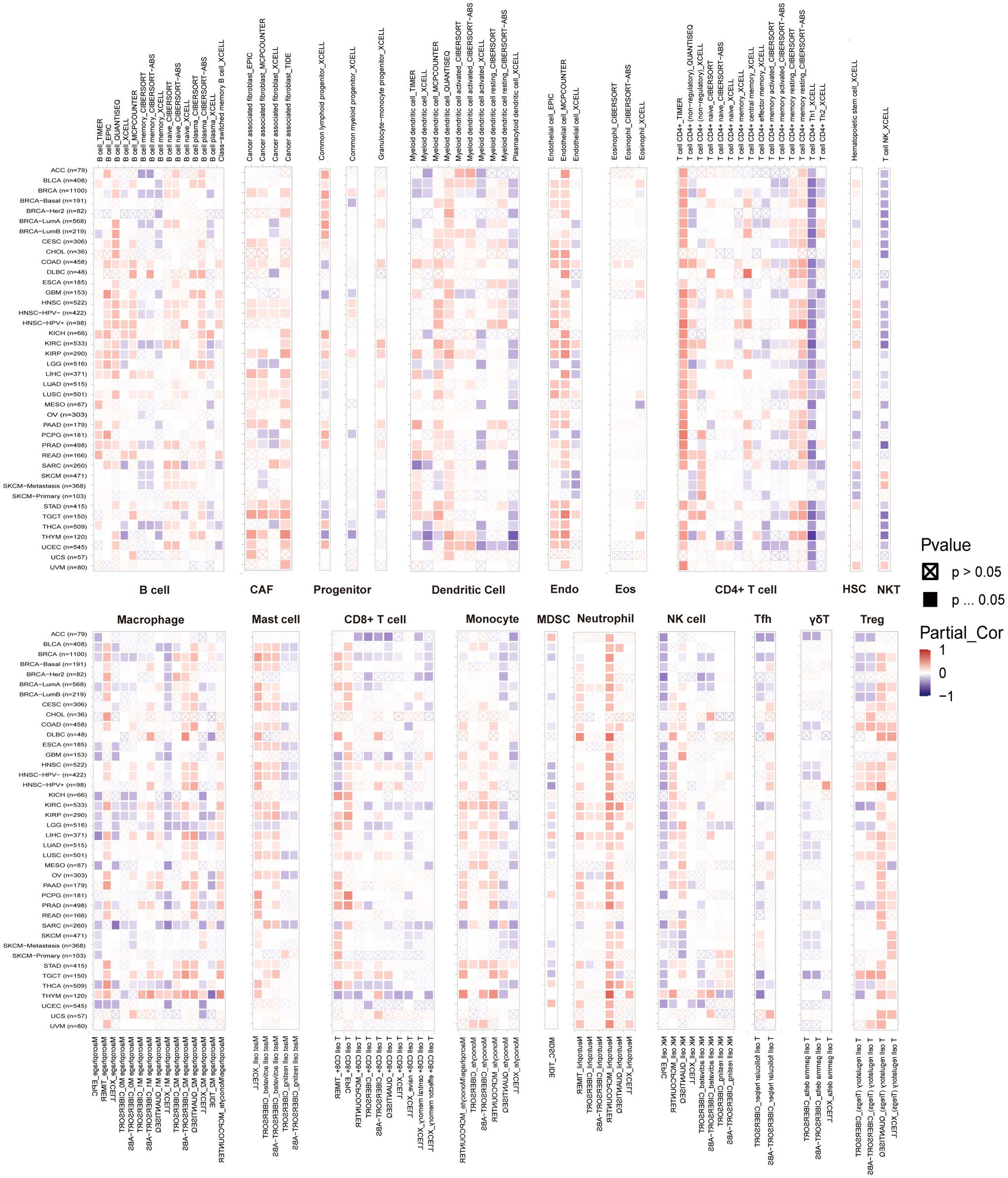 Heatmap displaying partial correlation values between various gene expressions and cell types in cancer datasets. Red represents positive correlation, blue negative, with color intensity indicating strength. P-value significance is denoted by symbols, with × for p > 0.05 and ■ for p ≤ 0.05. Cell types include B cells, CAFs, progenitor cells, macrophages, and others, aligned both vertically and horizontally with cancer types (e.g., LUAD, BRCA).