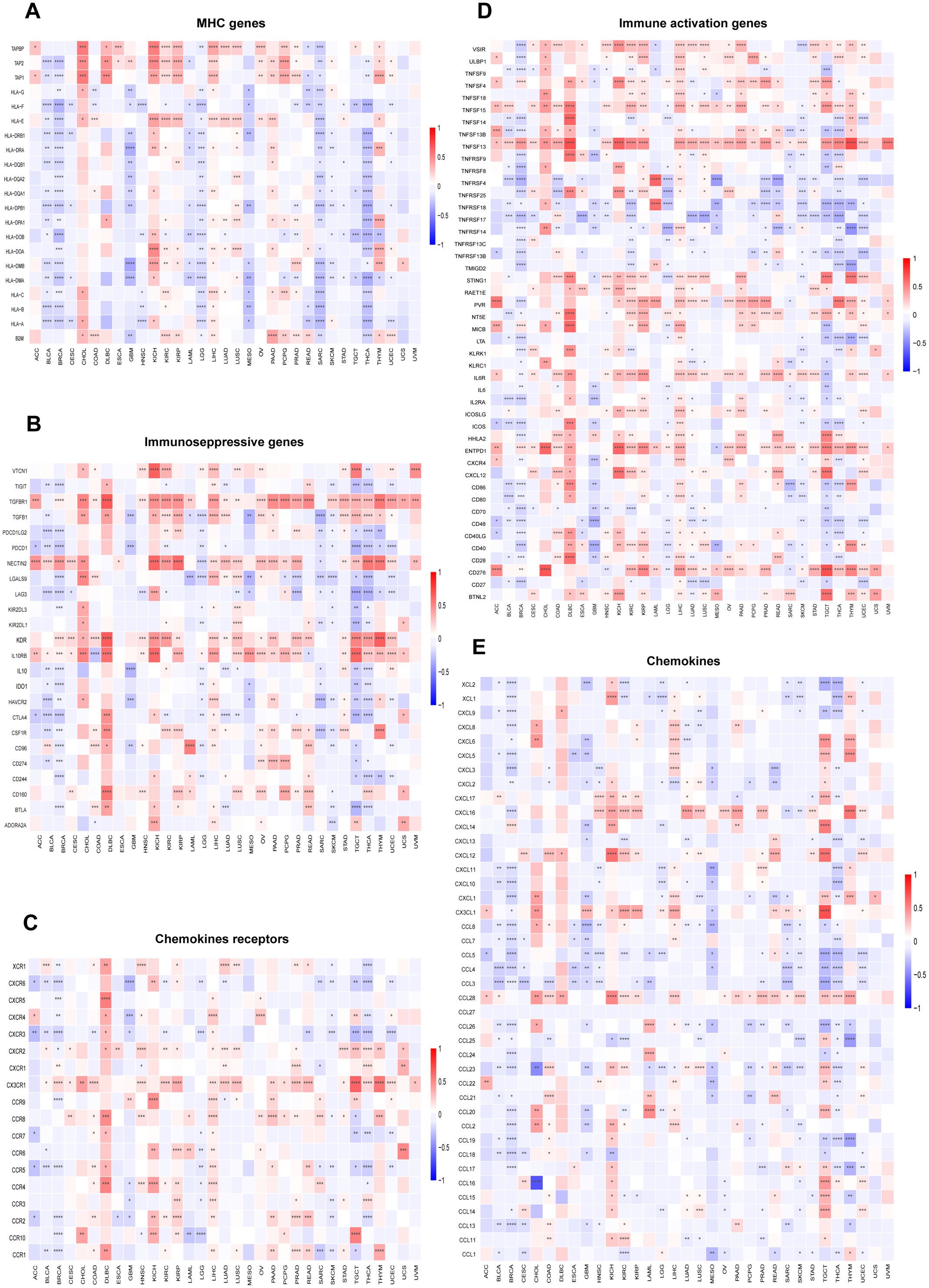 Heatmaps display gene expression across various categories: MHC genes (A), immunosuppressive genes (B), chemokine receptors (C), immune activation genes (D), and chemokines (E). Red indicates high expression, blue low. Each map includes gene names and sample columns with color gradients representing expression levels.