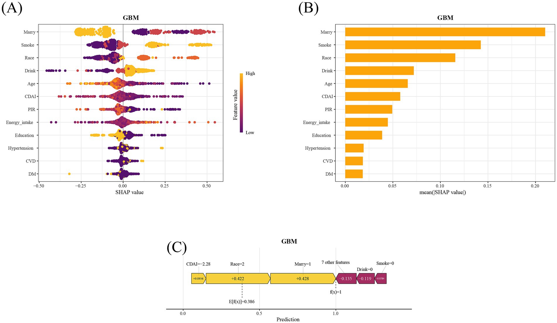 Panel A shows a SHAP summary plot for a GBM model, illustrating feature impacts on model output. Panel B displays a bar chart ranking features by mean absolute SHAP values, with 'Marry' having the highest impact. Panel C presents a SHAP force plot showing individual prediction contributions, highlighting features like 'CDAI', 'Race', and 'Marry'.