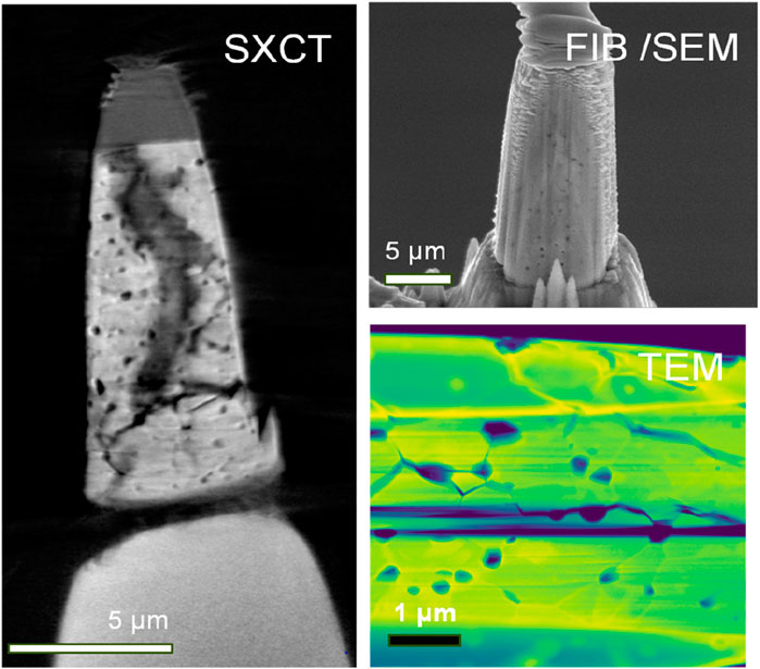 Three-panel image showing microscopic analyses. Left: A grayscale SXCT image of a needle-like structure with visible internal features, scale 5 micrometers. Top right: A FIB/SEM image of a similar structure with surface texture, scale 5 micrometers. Bottom right: A colorful TEM image showing a cross-section with structural details, scale 1 micrometer.