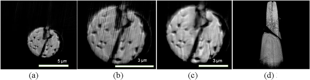 Four grayscale images display a microstructure. (a) Shows a circular cross-section with small inclusions at 5 micrometers scale. (b) and (c) display similar structures at 3 micrometers scale, with slight variations. (d) Shows a vertical, elongated structure with a central division.