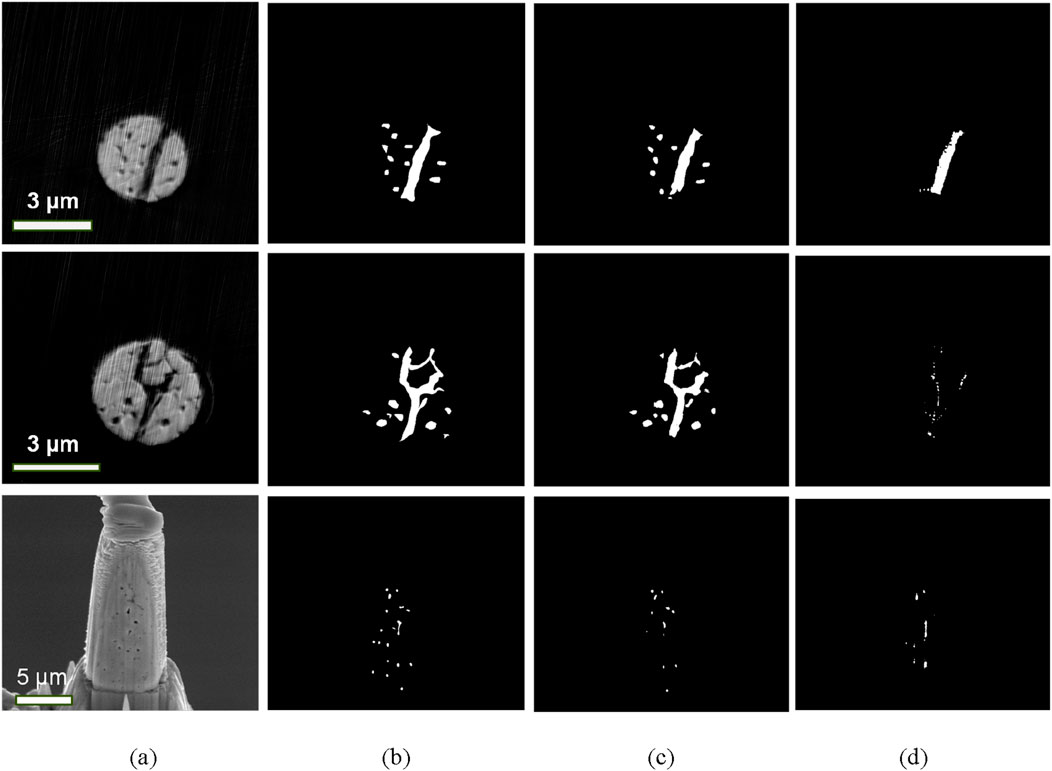 Electron microscopy images arranged in three rows, each with four columns labeled (a) to (d). Row one and two show close-ups of round structures with internal features, magnified by three micrometers. Row three depicts a cylindrical structure with perforations, magnified by five micrometers. Columns (b), (c), and (d) present binary images highlighting certain features within the structures.