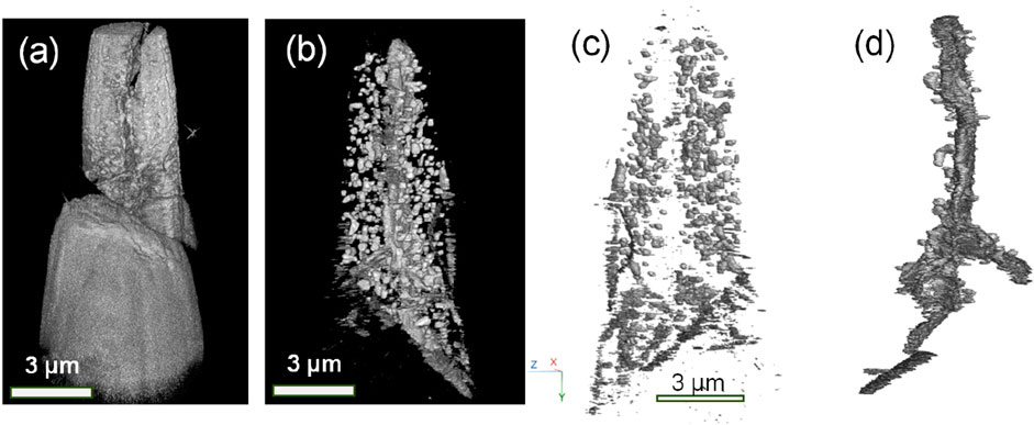 Four grayscale microscopic images labeled (a), (b), (c), and (d) depict a detailed view of a needle-like structure. Each image shows varying density and texture, highlighting distinct layers and formations. Scale bars indicate a length of three micrometers for reference.