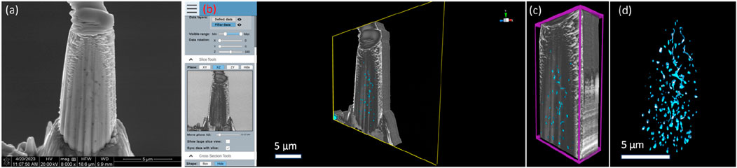 (a) Scanning electron microscope (SEM) image of a microscopic pillar with a rough surface. (b) Software interface showing pillar data selection and visualization settings. (c) Three-dimensional rendering of the pillar with highlighted defects in blue. (d) Isolated visualization of the pillar's defect data in blue against a black background, indicating spatial distribution. Scale bars for reference measure 5 micrometers.