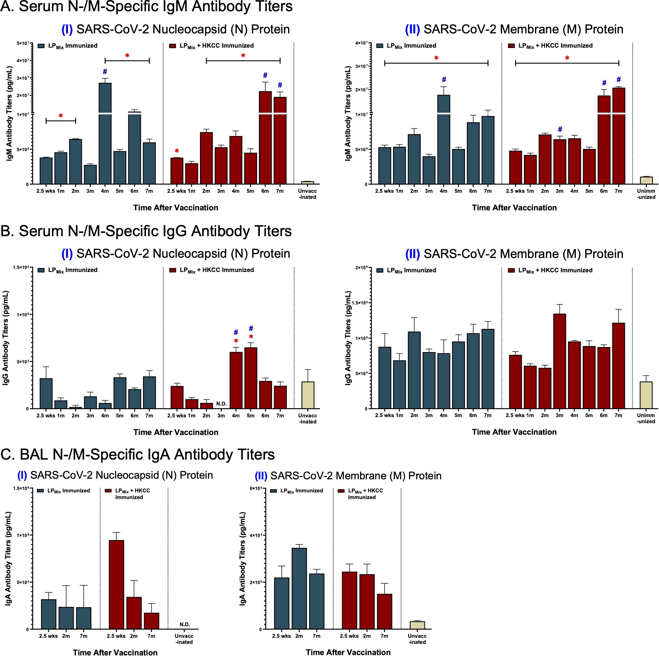 Graphs showing antibody titers after vaccination: A. IgM response to SARS-CoV-2 Nucleocapsid (I) and Membrane (II) proteins. Varying titers over time with two groups: LPMix immunized and LPMix + HKCC immunized. B. IgG response to Nucleocapsid (I) and Membrane (II) proteins. Titers increase and decrease at different intervals. C. IgA response in bronchoalveolar lavage to Nucleocapsid (I) and Membrane (II) proteins. Trends differ between the two proteins with distinct patterns.
