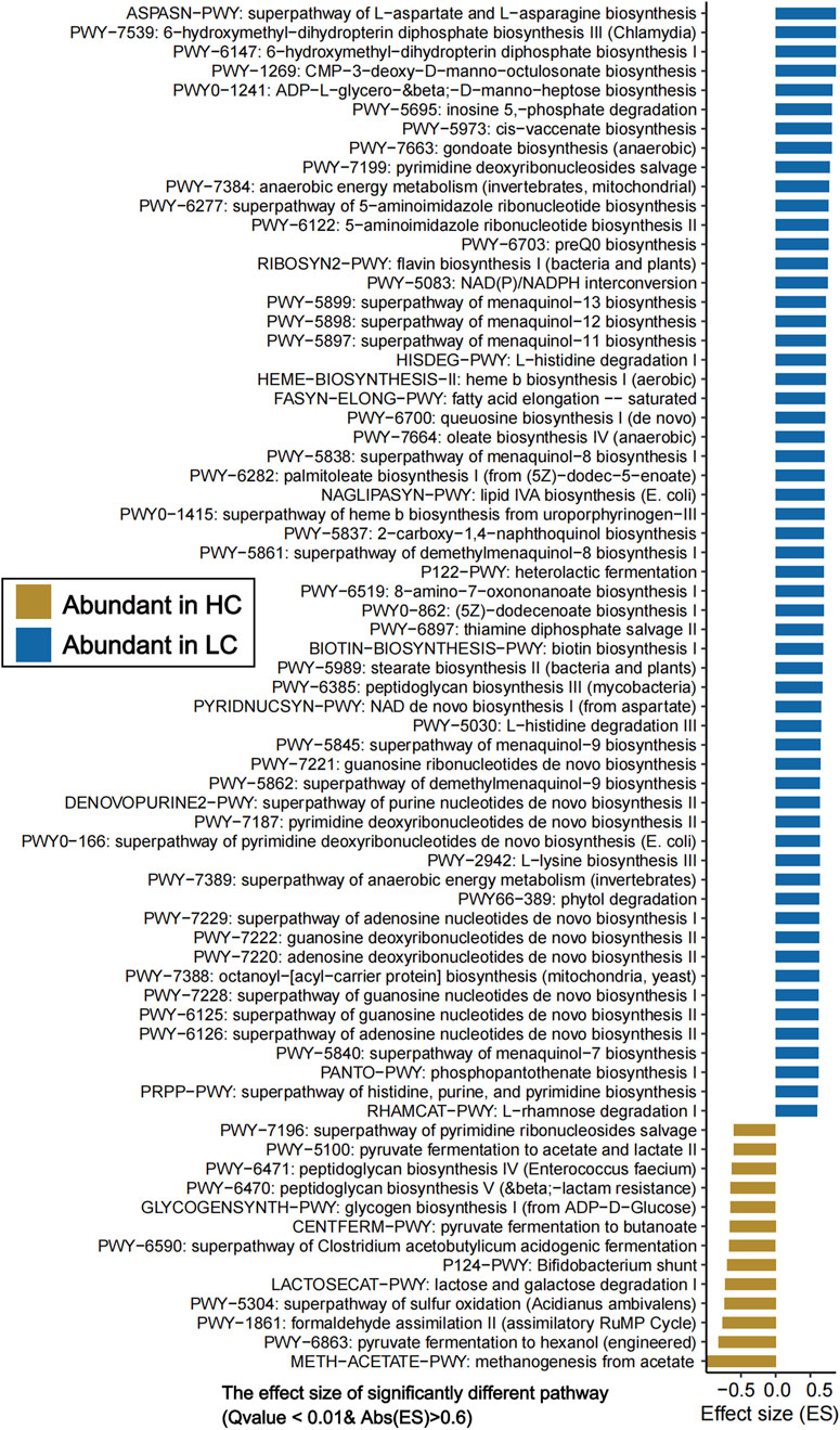 Bar chart of pathways with varying effect sizes, categorized by abundance in high control (HC) and low control (LC) groups. Pathways are listed on the left, while effect sizes are shown on the right with bars indicating direction and magnitude. The chart has a key: gold denotes abundance in HC, blue in LC. The effect size cutoff is an absolute value greater than 0.6, ensuring statistical significance.