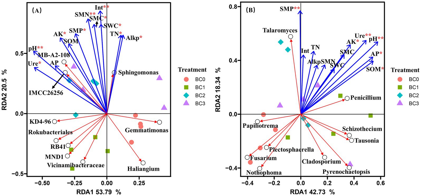 Two redundancy analysis (RDA) plots labeled A and B showing microbial communities' relationships with environmental variables. Plot A and B have axes labeled RDA1 and RDA2 with percentages. Variables like pH, TN, and SOM are shown with arrows. Data points represent treatments with different shapes and colors indicated in the legend: BC0 (red circle), BC1 (green square), BC2 (cyan diamond), BC3 (purple triangle). Various microbial names such as Sphingomonas and Penicillium are displayed. Arrows indicate the direction and strength of the variables' influence.