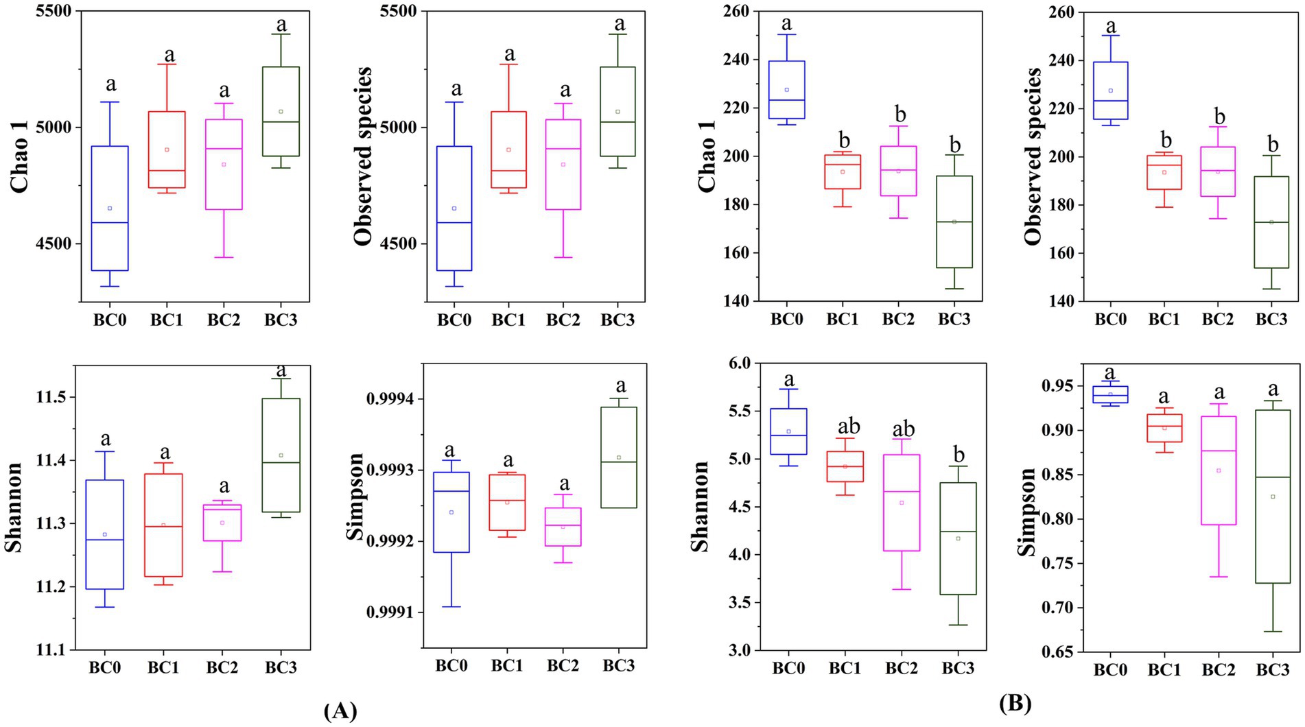 Box plots display diversity indices across samples labeled BC0 to BC3 for Chao 1, observed species, Shannon, and Simpson indices. Group (A) shows higher diversity and richness than group (B). Notable differences are marked with letters above the plots.