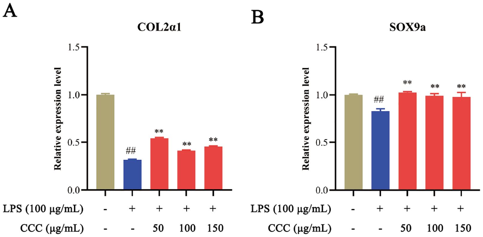 Bar graphs A and B display relative expression levels of COL2a1 and SOX9a. Graph A shows decreased expression after LPS treatment, partially restored by CCC at 50, 100, and 150 micrograms per milliliter. Graph B also shows decreased expression with LPS, improved with CCC at the same concentrations. Significant differences are marked with symbols.