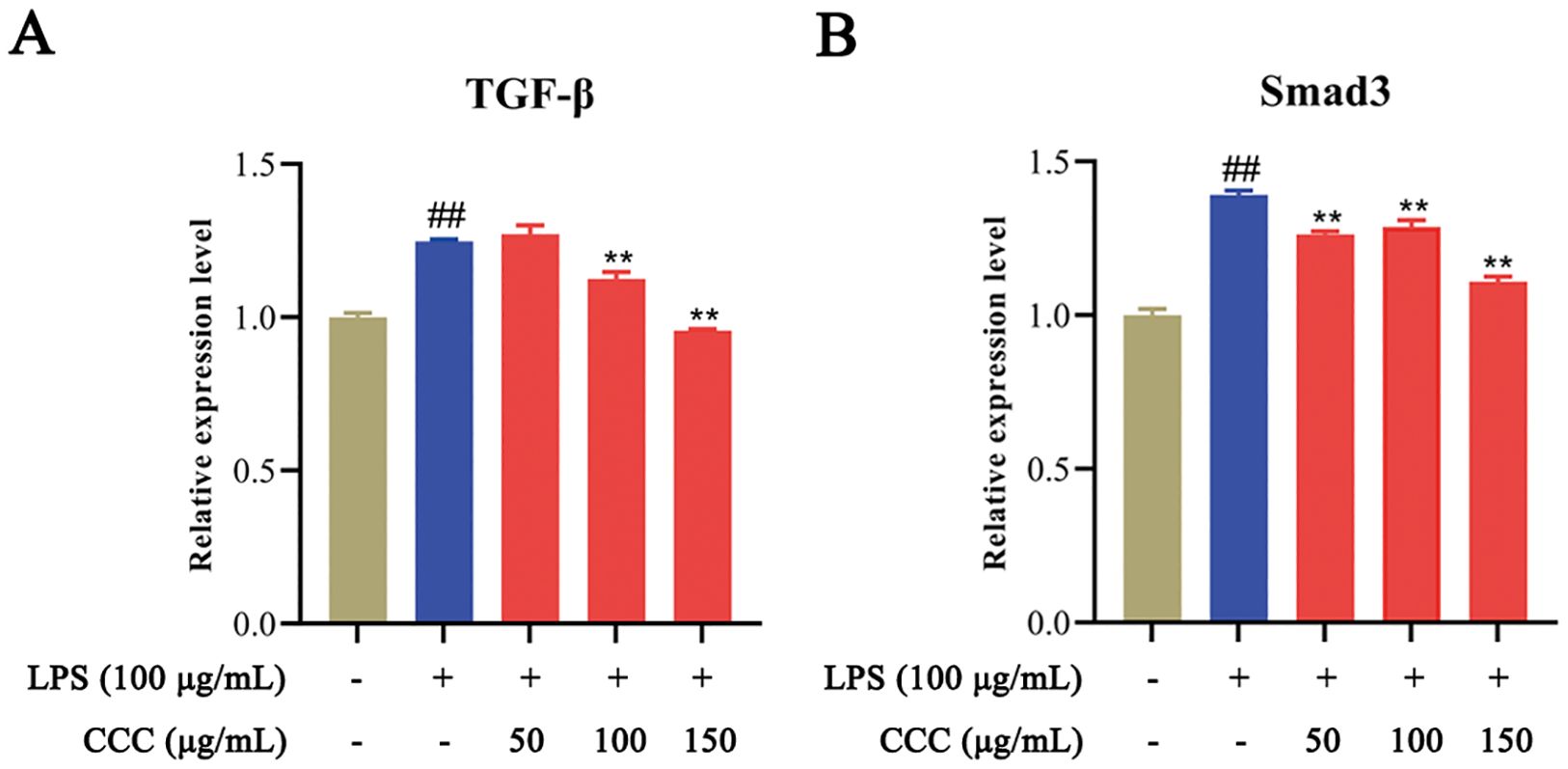 Bar charts illustrating the relative expression levels of TGF-β and Smad3 under different conditions. Chart A shows TGF-β levels with significant increases marked by hashtags and asterisks. Chart B depicts Smad3 levels with similar significant notations. Conditions vary with and without LPS and different CCC concentrations.