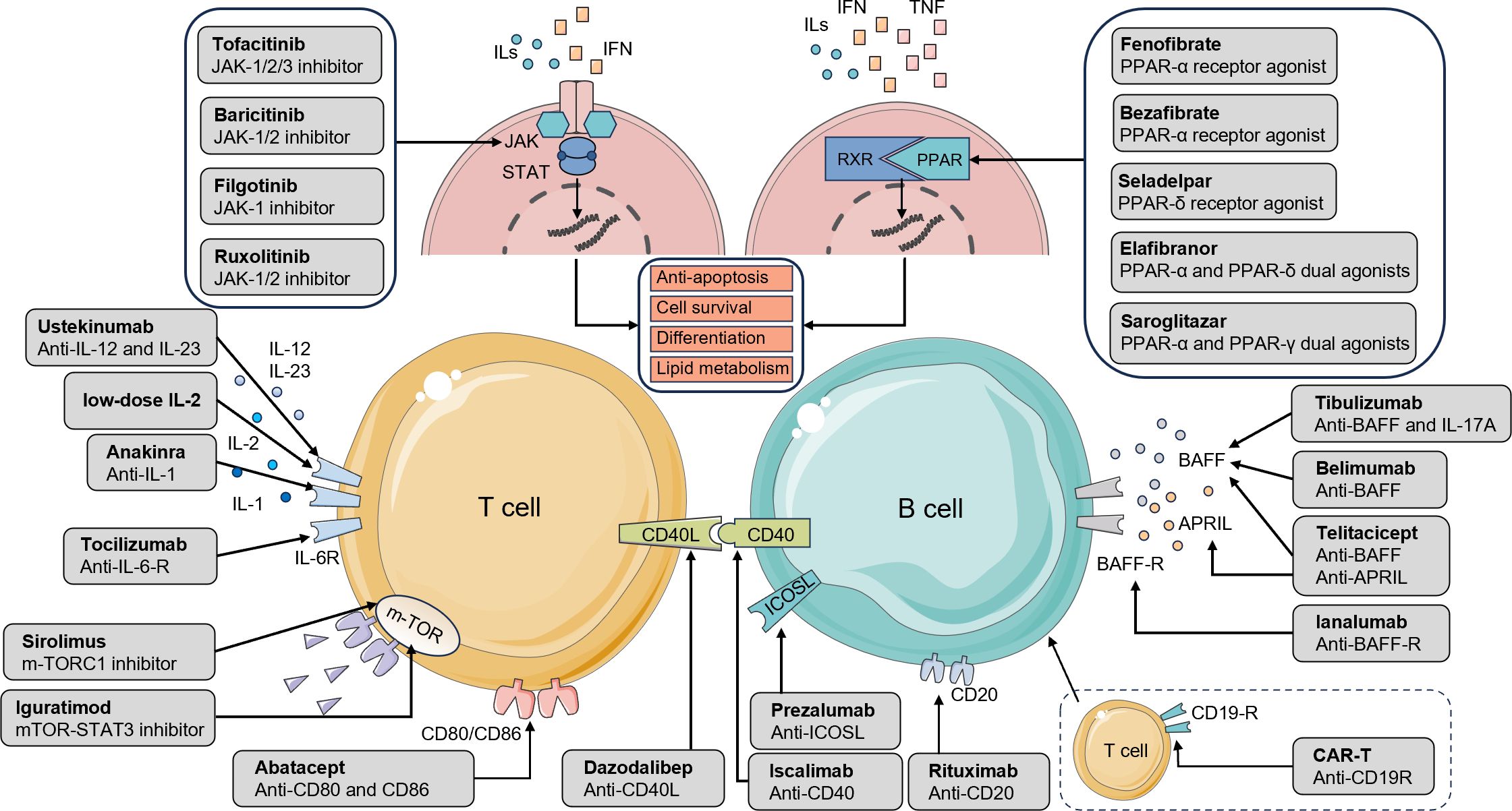 floow Frontiers | Antifungal activity of the volatile organic