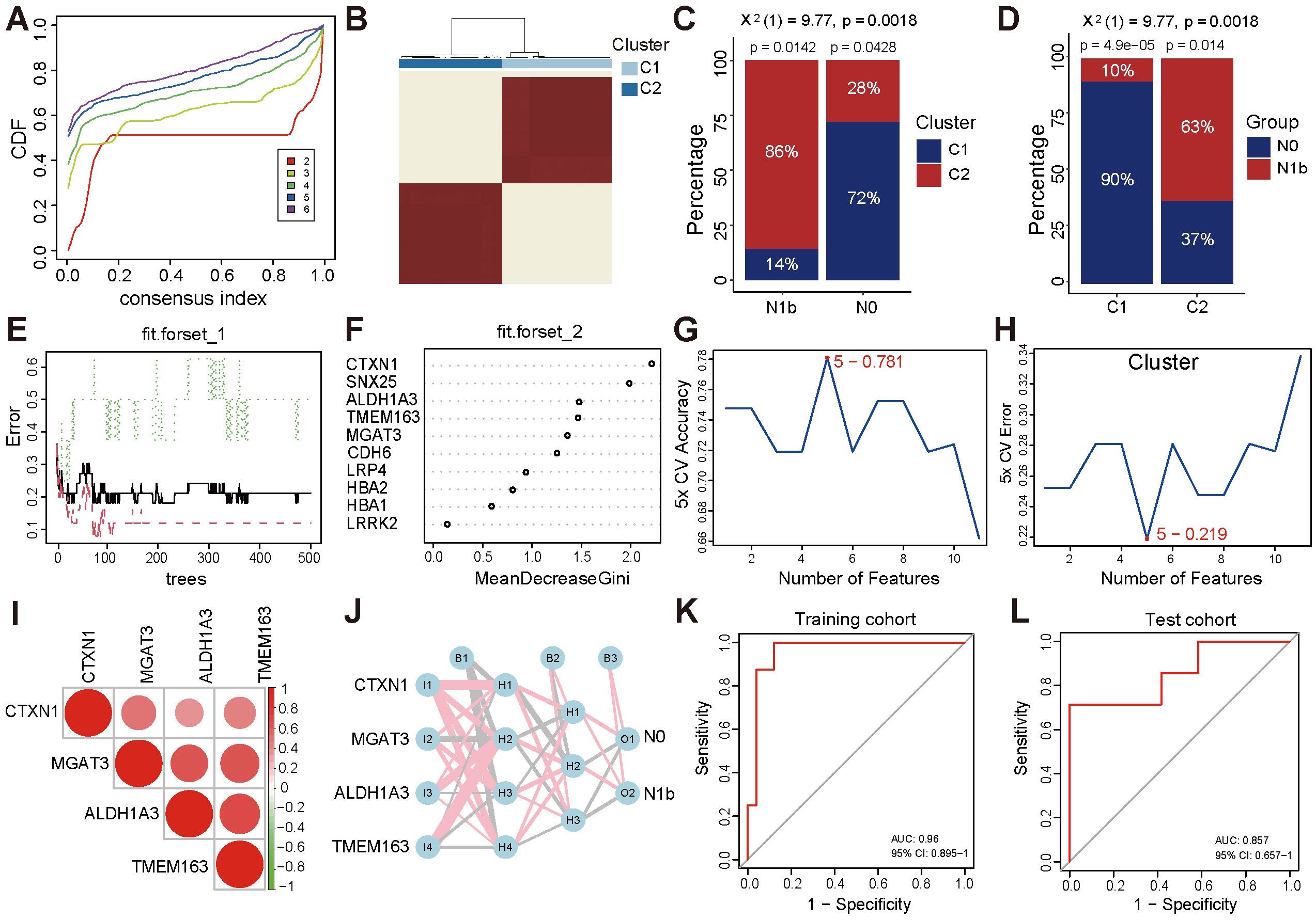 A series of graphics and charts display a range of data analyses. Panel A shows a cumulative distribution function plot of consensus index with multiple colored lines. Panel B is a heatmap representing clustered data. Panels C and D are bar charts showing percentage distributions for two different clusters across groups. Panel E is an error versus trees plot for a random forest model. Panel F plots variables against mean decrease in Gini index. Panels G and H graph accuracy and error based on the number of features. Panel I is a correlogram of selected variables. Panel J illustrates a network of interactions. Panels K and L are ROC curves for training and test cohorts, with high AUC values indicating strong model performance.