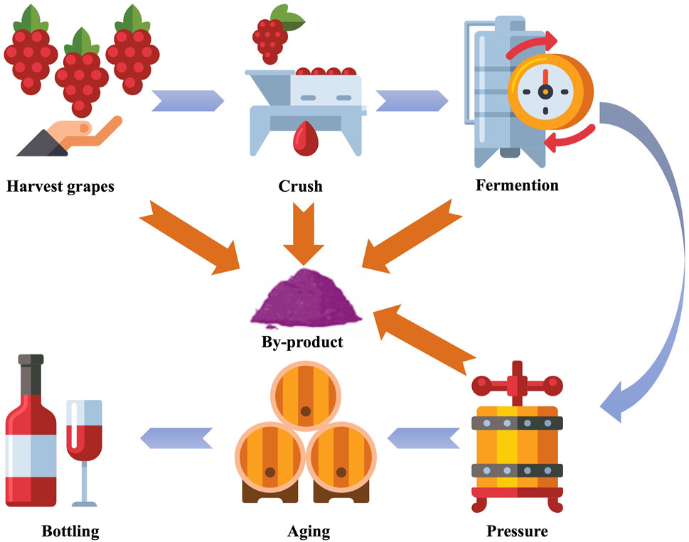 Flowchart illustrating the wine-making process: Harvesting grapes, crushing to produce juice and by-products, fermenting, applying pressure, aging in barrels, and bottling. Arrows indicate flow direction.