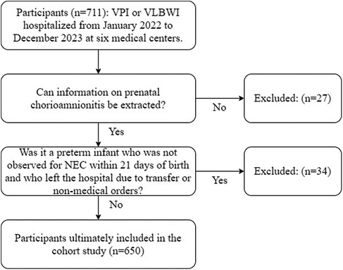 Flowchart detailing participant inclusion in a cohort study. Initially, 711 VPI or VLBWI hospitalized infants were considered. If prenatal chorioamnionitis information was not extractable, 27 were excluded. Of those remaining, if a preterm infant was not observed for NEC within 21 days and left the hospital, 34 were excluded. Ultimately, 650 participants were included in the study.