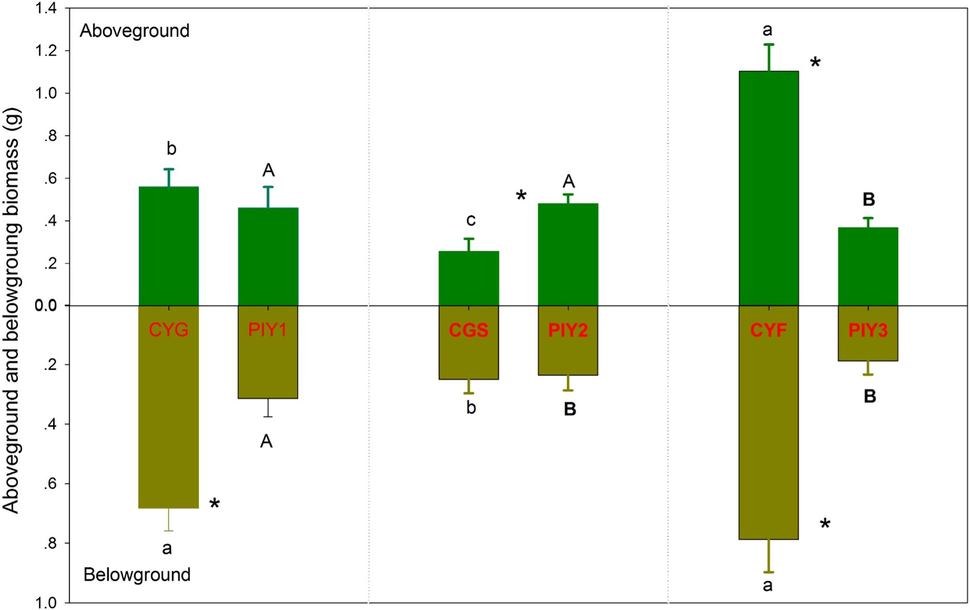 Bar graph showing aboveground and belowground biomass in grams for various samples: CYG, PIY1, CGS, PIY2, CYF, PIY3. Green bars represent aboveground biomass, brown bars represent belowground biomass. Significant differences are marked by letters and asterisks above the bars.