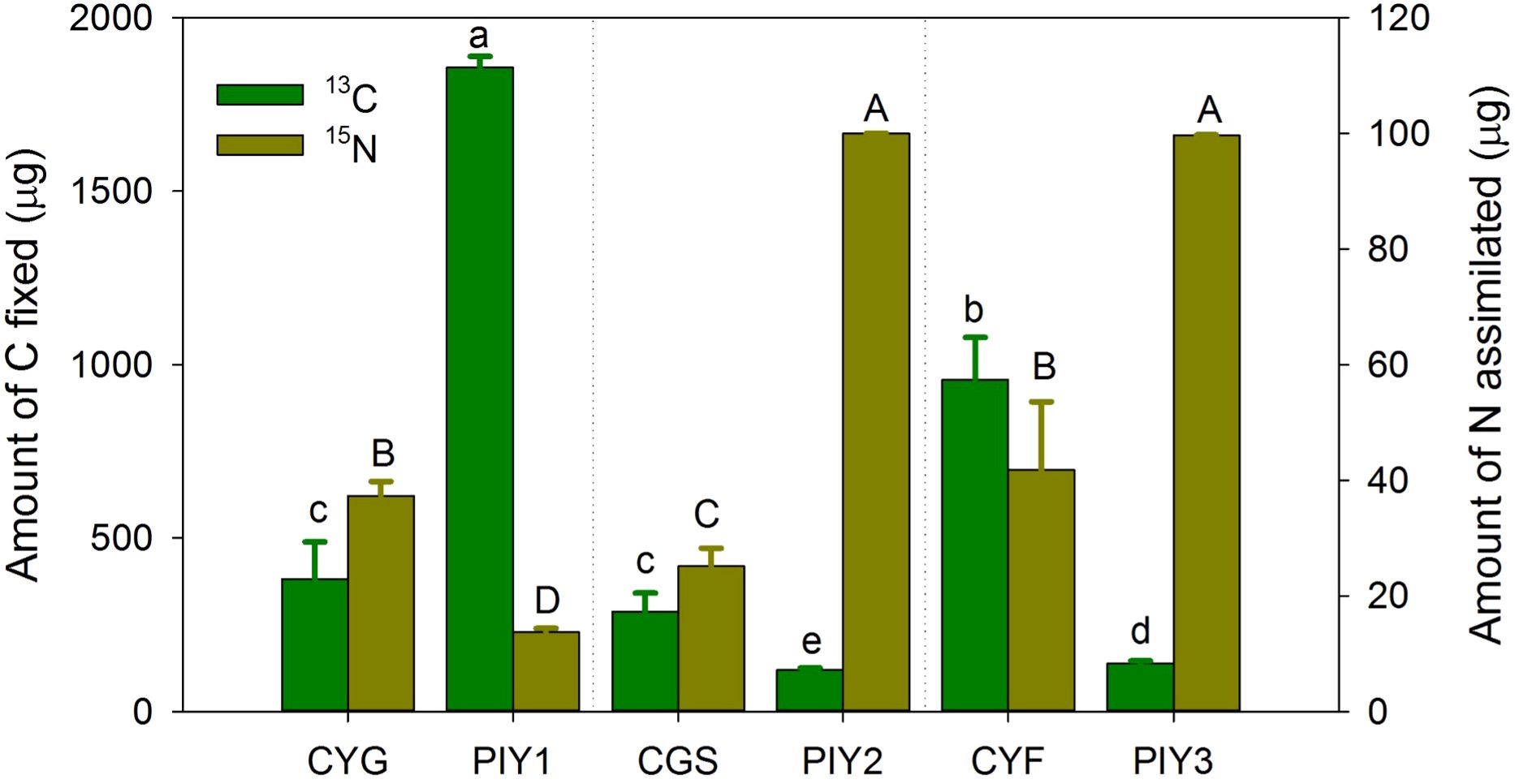 Bar chart comparing the amounts of carbon fixed and nitrogen assimilated across six groups: CYG, PIY1, CGS, PIY2, CYF, and PIY3. Green bars represent carbon fixation, while brown bars represent nitrogen assimilation. Labels above the bars indicate statistical categories with varying letters for differentiation. The left y-axis represents carbon in micrograms, and the right y-axis represents nitrogen in micrograms. The x-axis denotes the group names.