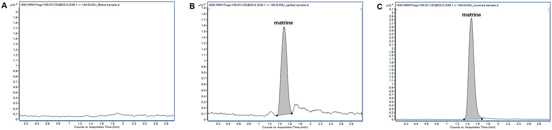 Three chromatograms are labeled A, B, and C respectively. Chromatogram A shows a flat baseline, indicating the absence of matrine in the sample. Chromatogram B displays a peak labeled