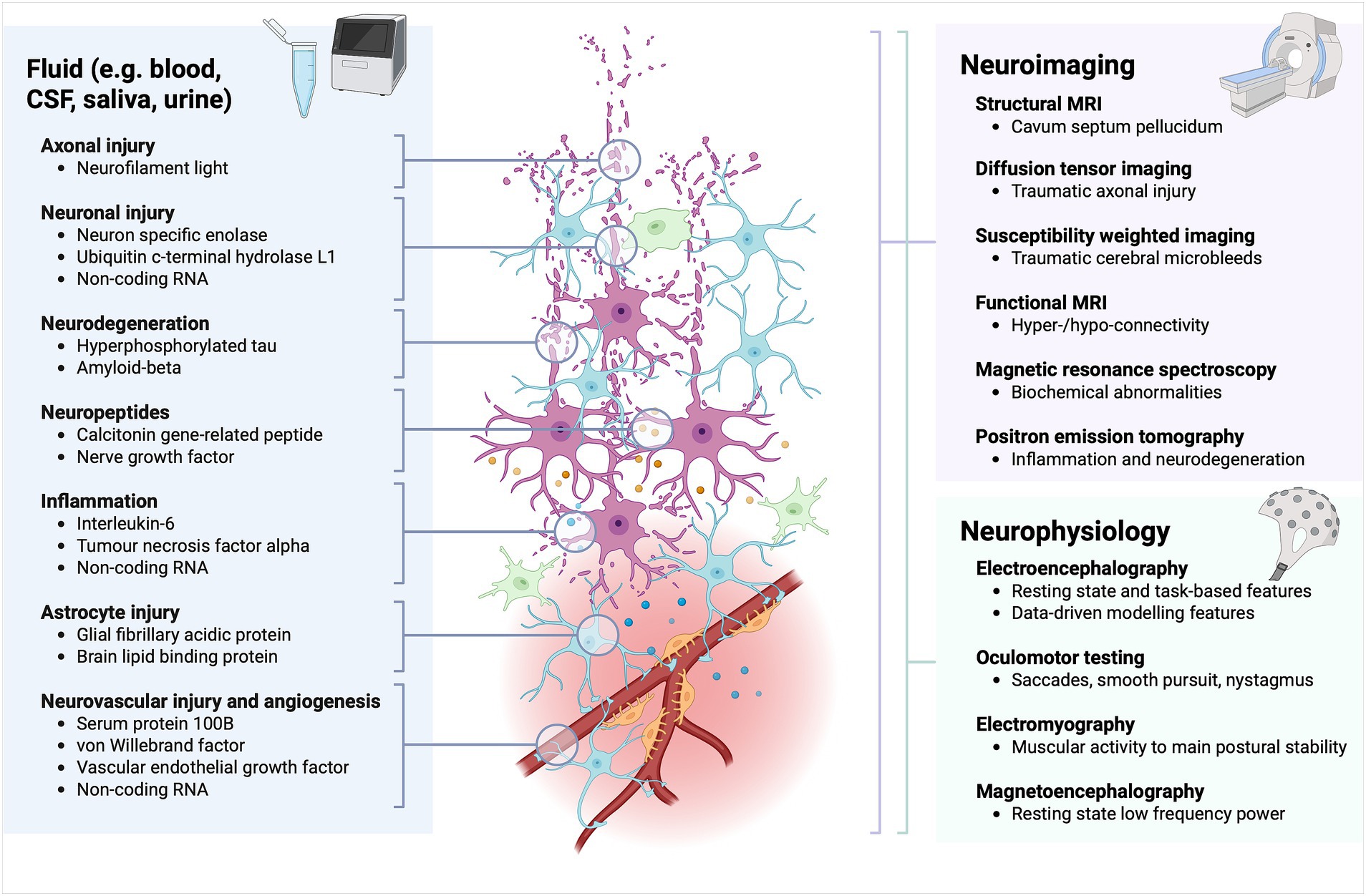Illustration showing biomarkers and methods for assessing brain injury. Left: Biomarkers in bodily fluids, such as blood and saliva, indicating various injuries like axonal, neuronal, and inflammation. Center: Diagram of neuron and blood vessel interconnections. Right: Imaging and neurophysiology techniques including MRI, EEG, and oculomotor testing, used for detecting injuries, connectivity issues, and abnormalities.