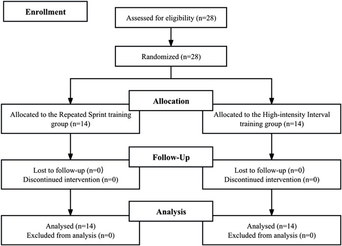 Flowchart depicting the phases of a randomized trial: Enrollment involved 28 assessed individuals. Allocation split into two groups, each with 14 participants: Repeated Sprint training and High-intensity Interval training. During Follow-Up, no participants were lost or discontinued. In Analysis, all 14 from each group were analyzed with none excluded.