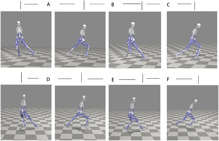 A series of six gray-scale diagrams labeled A to F depicting a skeletal model with highlighted muscles in blue walking on a checkered surface. Each image shows a different stage in the walking cycle, capturing the motion and biomechanics of the model.