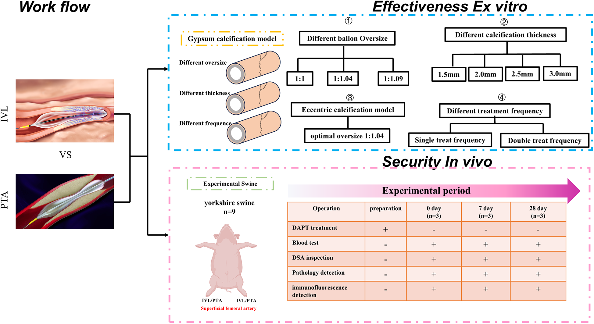 Workflow diagram comparing IVL and PTA procedures. It details ex vivo effectiveness studies with gypsum calcification models, varying balloon oversize, calcification thickness, and treatment frequency. In vivo security trials involve Yorkshire swine over a specified experimental period, examining treatments like DAPT, blood tests, and pathology detection.