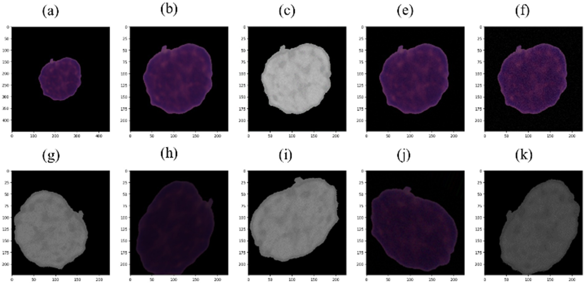 A series of ten visual panels labeled from (a) to (c) and (e) to (k), displaying various views a white blood cell nucleus. Panels (a), (b), (e), (f), and (h) show a purple-stained structure on a black background, while panels (c), (g), (i), and (k) depict the same structure in grayscale. Panel (j) combines purple and grayscale effects. Each panel presents a slightly different perspective or enhancement, emphasizing structural details.