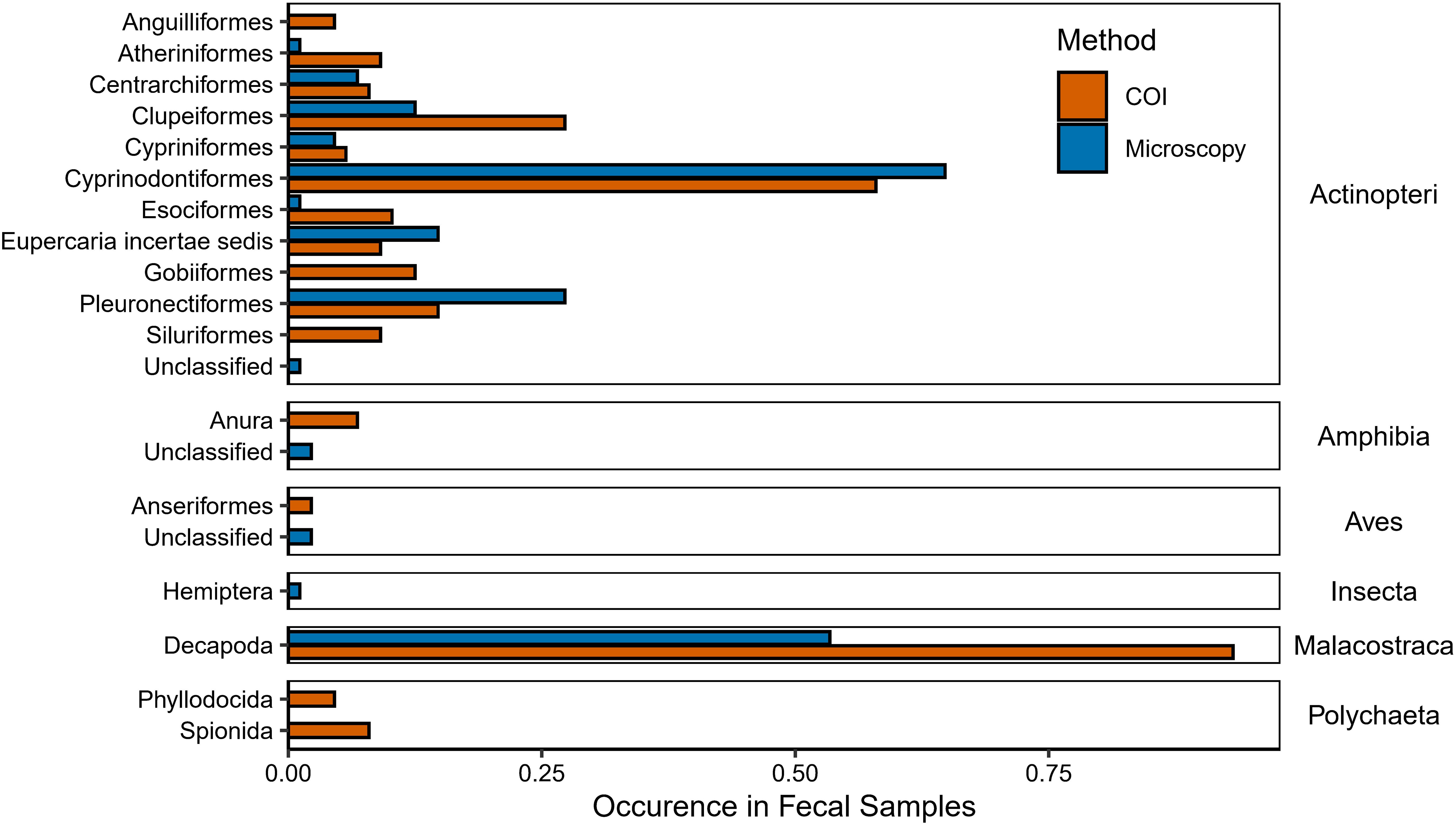 Bar chart comparing the occurrence of primary prey taxa detected by COI metabarcoding and/or microscopy. The largest difference between the two methods occurred in the decapods with a higher occurrence found using COI. Species not found using microscopy include catfish (Siluriformes), gobies (Gobiformes), annelids (Phyllodocida, Spionida), and eels (Anguilliformes). Only a hemipteran was not found using COI.