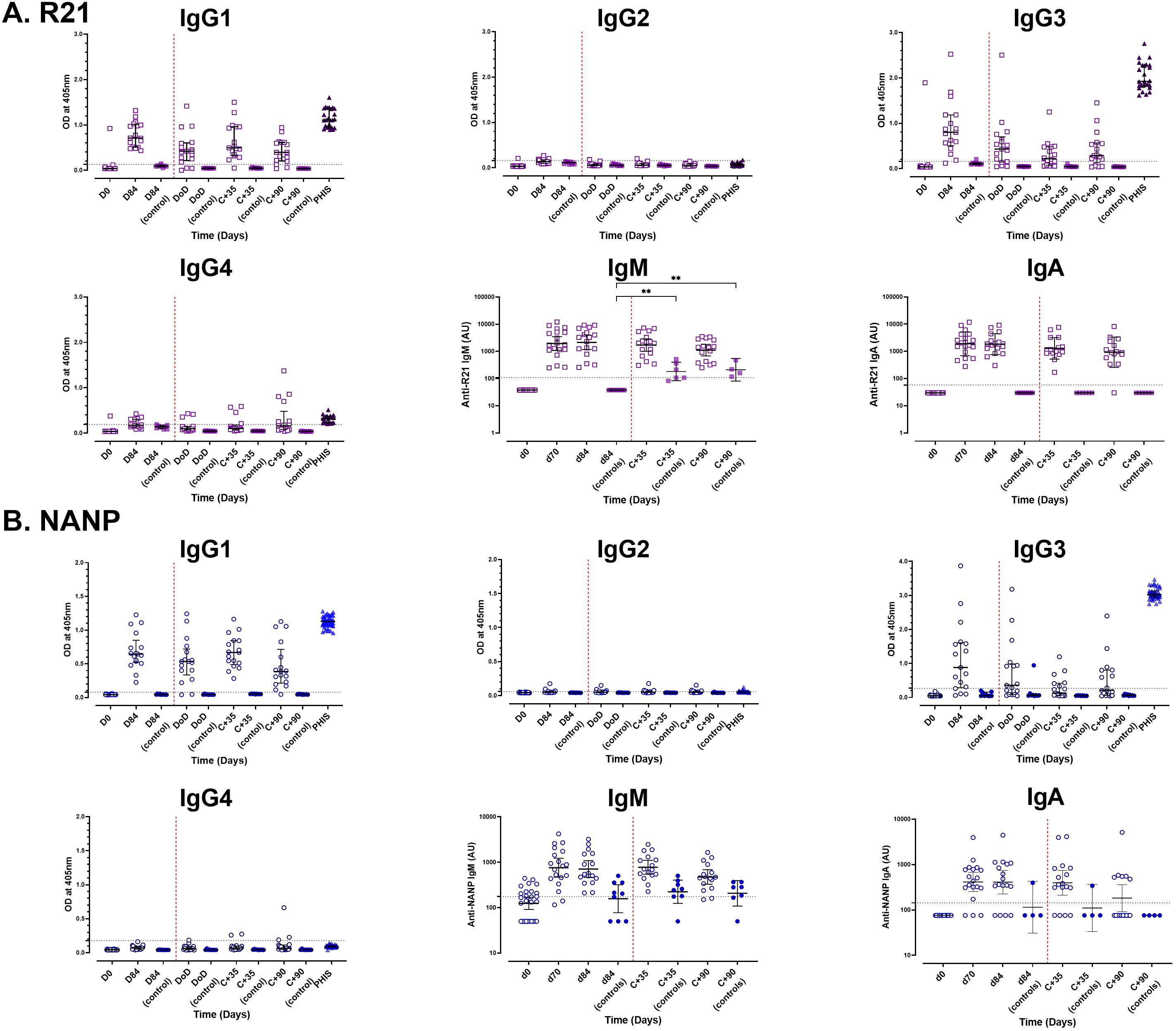 Graphs showing immunoglobulin (IgG1, IgG2, IgG3, IgG4, IgM, IgA) responses over time for two conditions: R21 and NANP. Y-axis represents optical density or arbitrary units. Time points are labeled on the x-axis from day zero to day 63, with dose times indicated by red lines. Each graph depicts the distribution of responses with dot plots and includes standard error bars. Comparisons show variability in antibody responses between the two conditions and among different immunoglobulin isotypes.