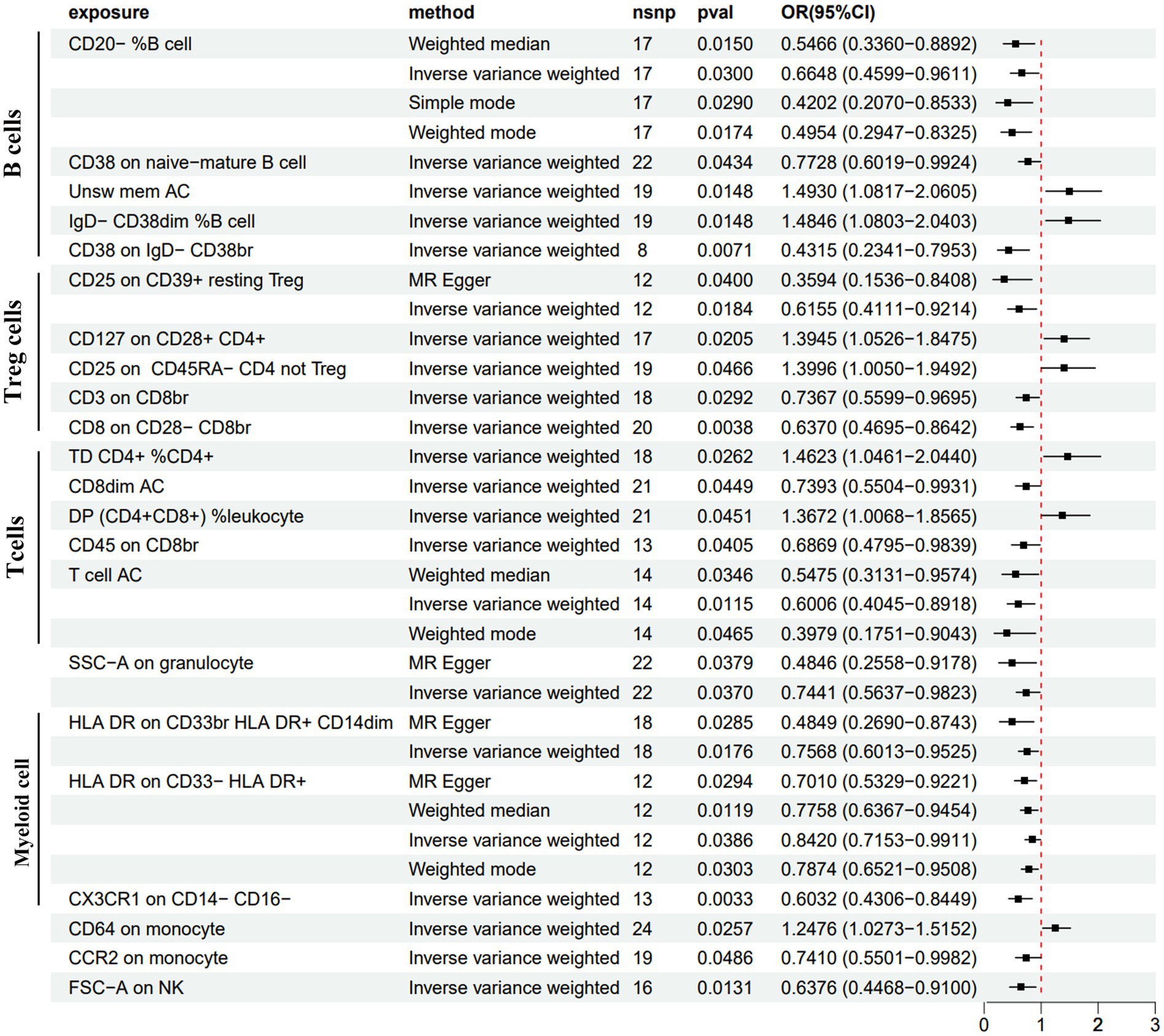 A forest plot displays odds ratios (OR) and confidence intervals (CI) for various cell exposures with different methods for calculating weighted medians. It includes data for B cells, Treg cells, T cells, and Myeloid cells, showing their effect sizes on a logarithmic scale. Adjustments for significance are marked on the graph, highlighting values greater than one. Methods used include inverse variance weighting, MR Egger, and simple mode, with relevant p-values and number of single nucleotide polymorphisms (nsnp).