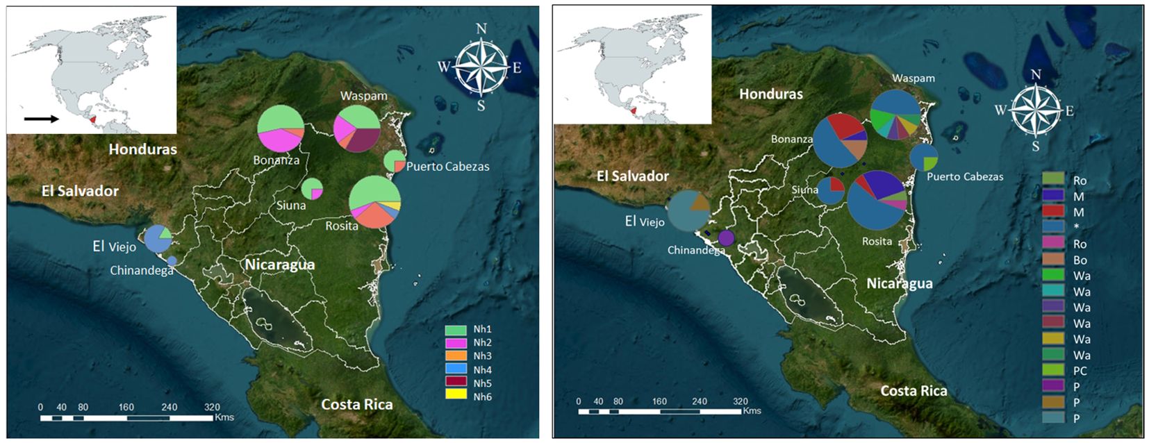 Dual map comparison of P. vivax haplotypes in Nicaragua, with pie charts depicting haplotype distribution across regions. Maps include color-coded legends for data categories. Insets show Nicaragua’s location on theAmericas map.