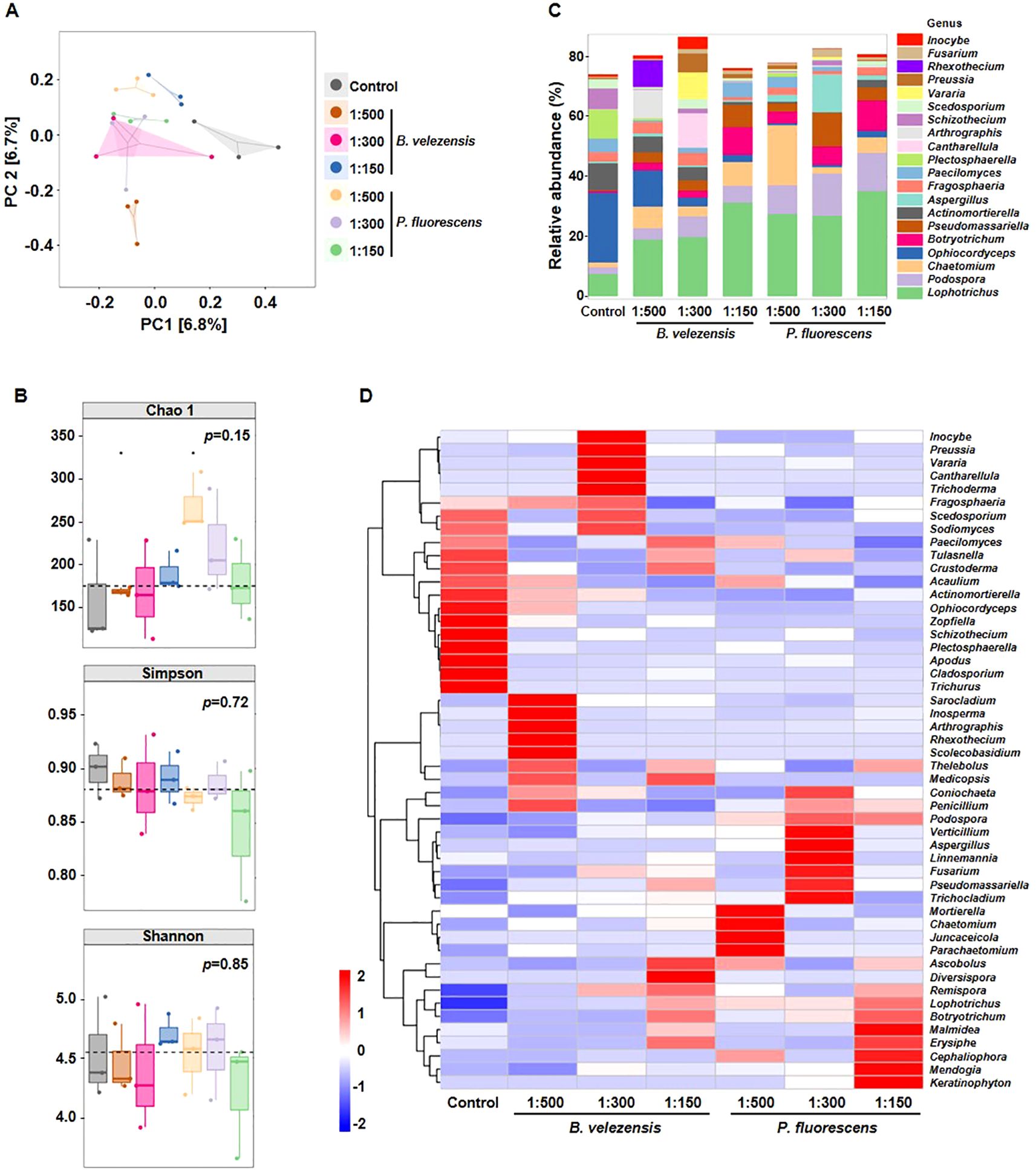 Panel A shows a PCA plot with samples categorized by treatment and control groups. Panel B displays boxplots for Chao 1, Simpson, and Shannon indices with p-values indicating variance. Panel C contains a stacked bar chart of genus relative abundance across different treatments. Panel D is a heatmap illustrating the abundance of various genera across treatments, with a color gradient from blue to red.