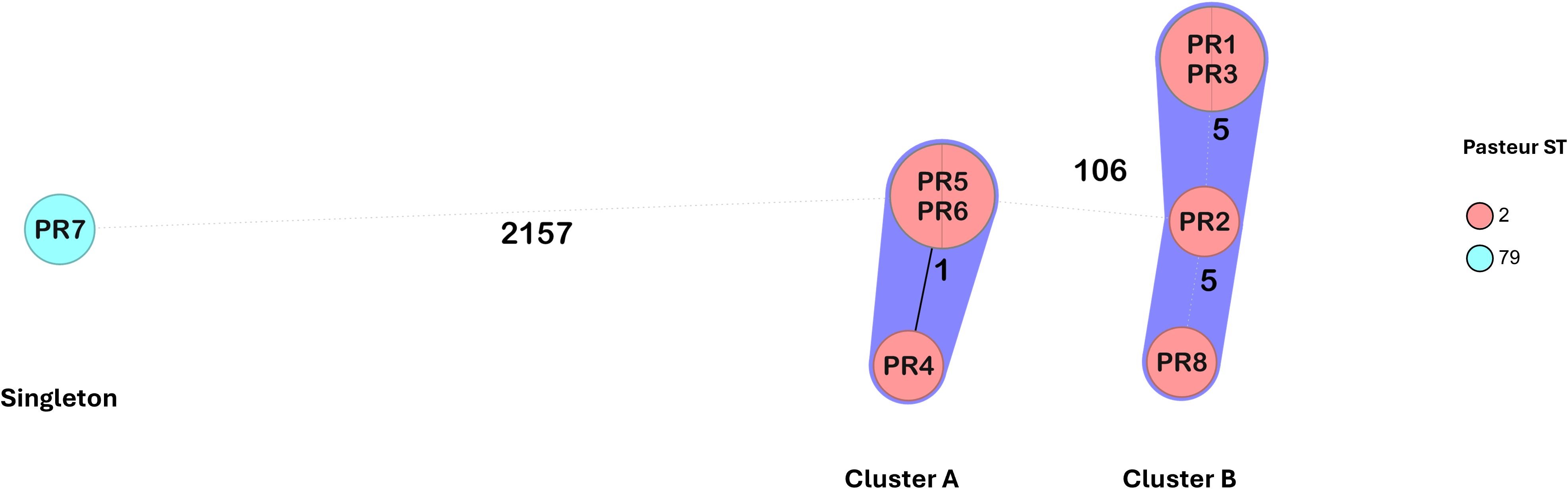 Diagram showing a phylogenetic network with three groups labeled Singleton, Cluster A, and Cluster B. Singleton contains PR7 in cyan, Cluster A includes PR4, PR5, and PR6 in pink, and Cluster B contains PR1, PR2, PR3, and PR8 in pink. Distances between groups are marked as 2157 and 106, with internal distances of 1 and 5 within clusters. Color legend indicates red as 2 and cyan as 79 for Pasteur ST.