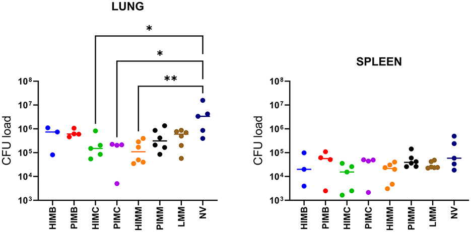 Dot plot comparing CFU loads in lung and spleen tissues across various groups, labeled as HIMB, PIMB, HMC, PMC, HIMM, PIMM, LMM, and NV. The lung plot shows significant differences indicated by asterisks, while the spleen plot shows uniform CFU loads.