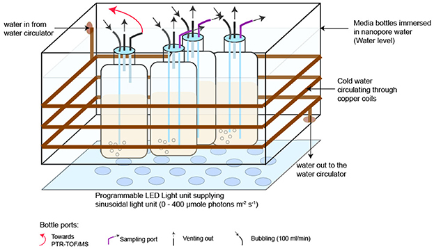 Diagram showing an experimental setup with three media bottles immersed in nanopore water, connected by copper coils circulating cold water. Water circulates in and out for temperature control. Bottle ports include connections to PTR-TOFMS, sampling, venting, and bubbling. A programmable LED light unit supplies sinusoidal light ranging from zero to four hundred micromole photons per square meter per second.
