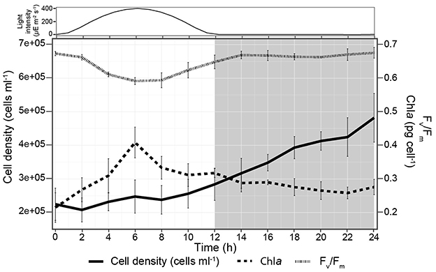 Line graph showing the relationship between time in hours and three variables: cell density, chlorophyll-a (Chla), and F\(_v\)/F\(_m\). Cell density is are plotted on the left y-axis, and Chl a and F\(_v\)/F\(_m\) on the right y-axis. Time is along the x-axis, covering 0 to 24 hours. Cell density remains constant from 0 to 10 h and then approximately doubles over the next 14 h. Chla per cell doubles over the first 6 h and then decreases over the remaining time course. Fv/Fm is maximal at dawn, decreases to 0.6 during midday and returns to maximal by dusk through nighttime. A line graph showing light intensity across the 24 h time period is shown at top. Light increases from 0 at dawn to 400 uE by midday and decreases to 0 at 12 h through 24 h.