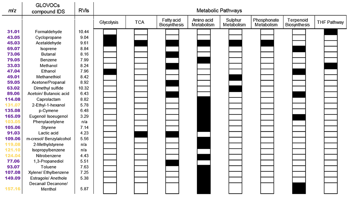 Chart of VOCs showing m/z values, compound IDs, and RVIs with their associated metabolic pathways. Pathways include Glycolysis, TCA, Fatty acid Biosynthesis, Amino acid Metabolism, Sulphur Metabolism, Phosphonate Metabolism, Terpenoid Biosynthesis, and THF Pathway.