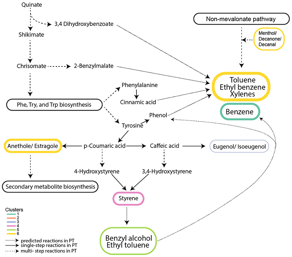Pathway diagram illustrating various biosynthesis routes involving compounds that increased in a light dependent manner. Pathways indicate predicted, single-step, and multi-step reactions. VOCs in Clusters are color-coded for differentiation.