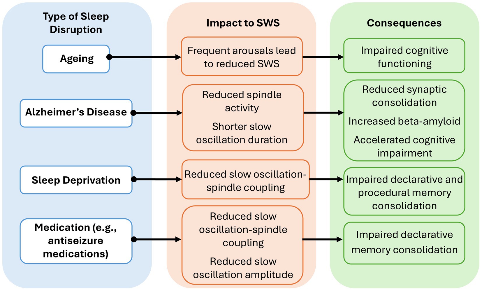 Flowchart illustrating the effects of different types of sleep disruption on slow wave sleep (SWS) and their consequences. Aging leads to frequent arousals and reduced SWS, impairing cognitive functioning. Alzheimer’s disease reduces spindle activity and slow oscillation duration, causing reduced synaptic consolidation, increased beta-amyloid, and accelerated cognitive impairment. Sleep deprivation and certain medications reduce slow oscillation-spindle coupling; sleep deprivation also impacts declarative and procedural memory consolidation, while medications affect declarative memory consolidation.