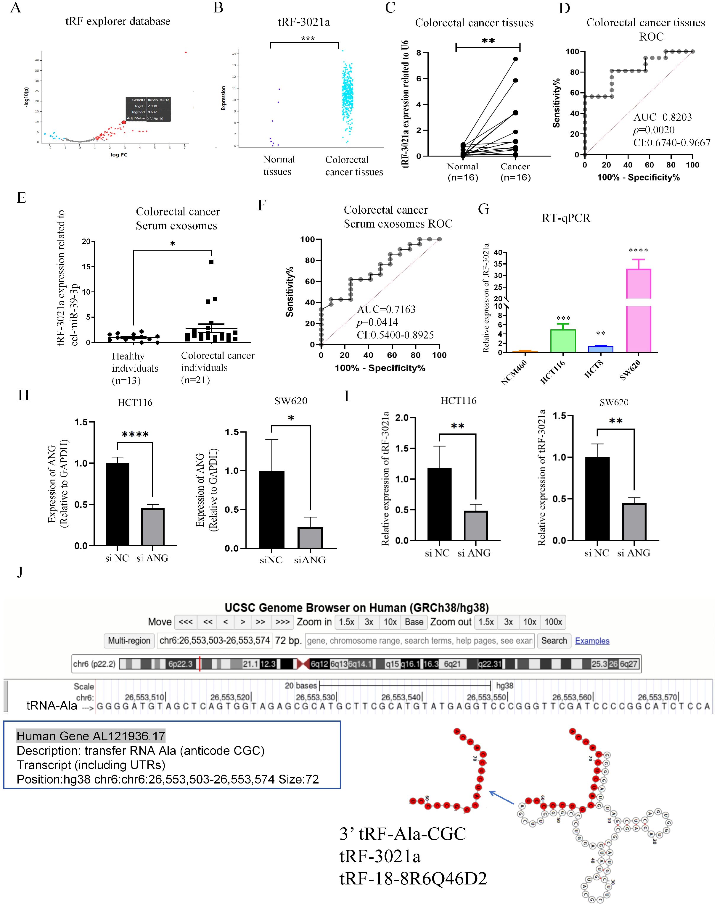 An infographic showing multiple panels of data related to colorectal cancer research. Panel A shows a scatter plot from the tRF explorer database with log values. Panel B compares tRF-3021a expressions in normal vs. cancer tissues. Panel C shows tRF-3021a expression levels related to U6 in normal and colorectal cancer tissues. Panel D presents an ROC curve for cancer tissues. Panel E displays a bar graph of tRF-3021a expression in serum exosomes from healthy and cancer patients. Panel F shows an ROC curve for exosome data. Panels G, H, and I illustrate various RT-qPCR results and gene expressions, indicating different levels of statistical significance. Panel J shows a genome browser view with annotations of the tRNA-Ala gene, highlighting its structure.
