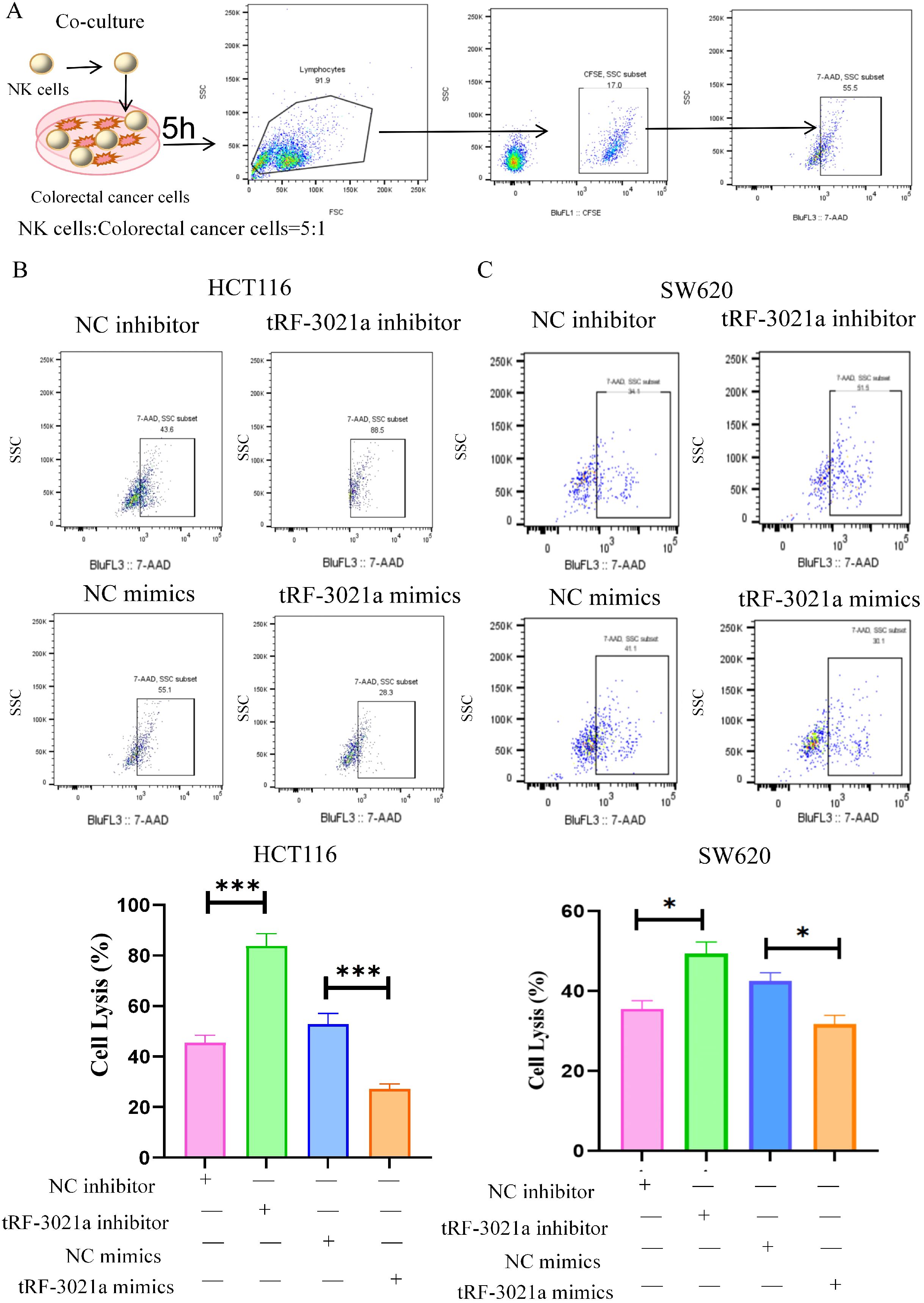 Diagram showing co-culture of NK cells and colorectal cancer cells for five hours with a cell ratio of five to one. Flow cytometry plots in sections B and C display cell lysis results using different treatments (NC inhibitor, tRF-3021a inhibitor, NC mimics, tRF-3021a mimics) on HCT116 and SW620 cells. Bar graphs depict percentages of cell lysis, highlighting significant differences marked by asterisks.
