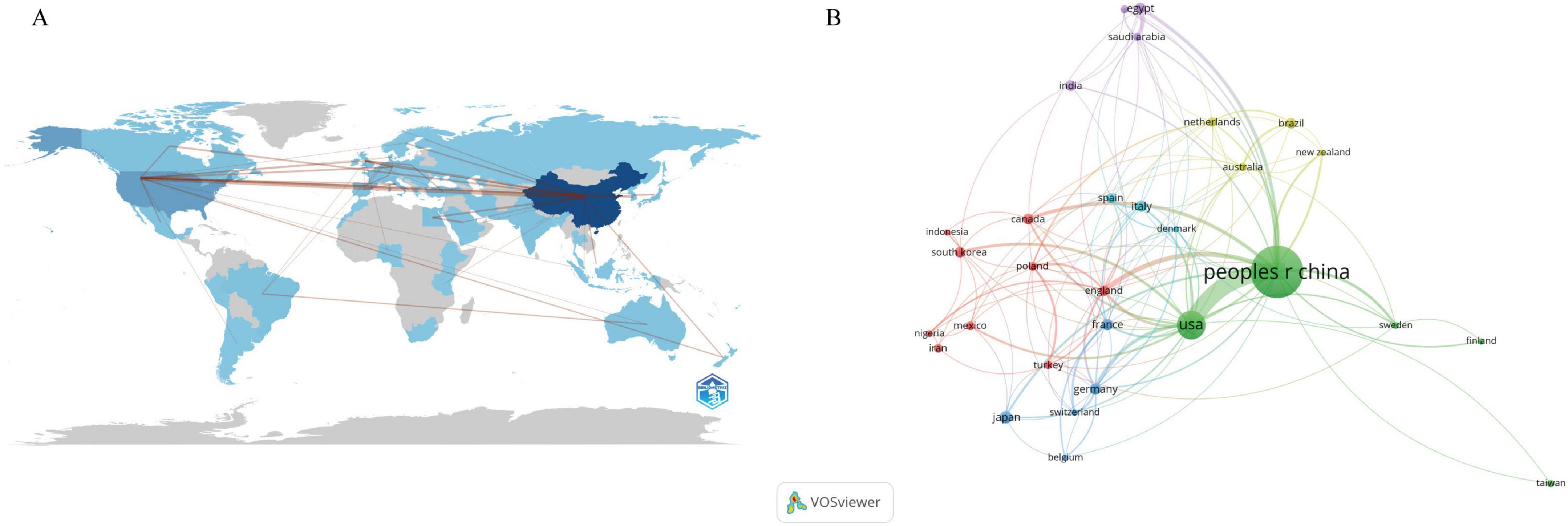 Map on the left shows international connections with various countries highlighted and lines indicating interactions centered on China. On the right, a network diagram visualizes connections between countries, with “Peoples R China” prominently linked to others like the USA. Different colors represent various groupings.
