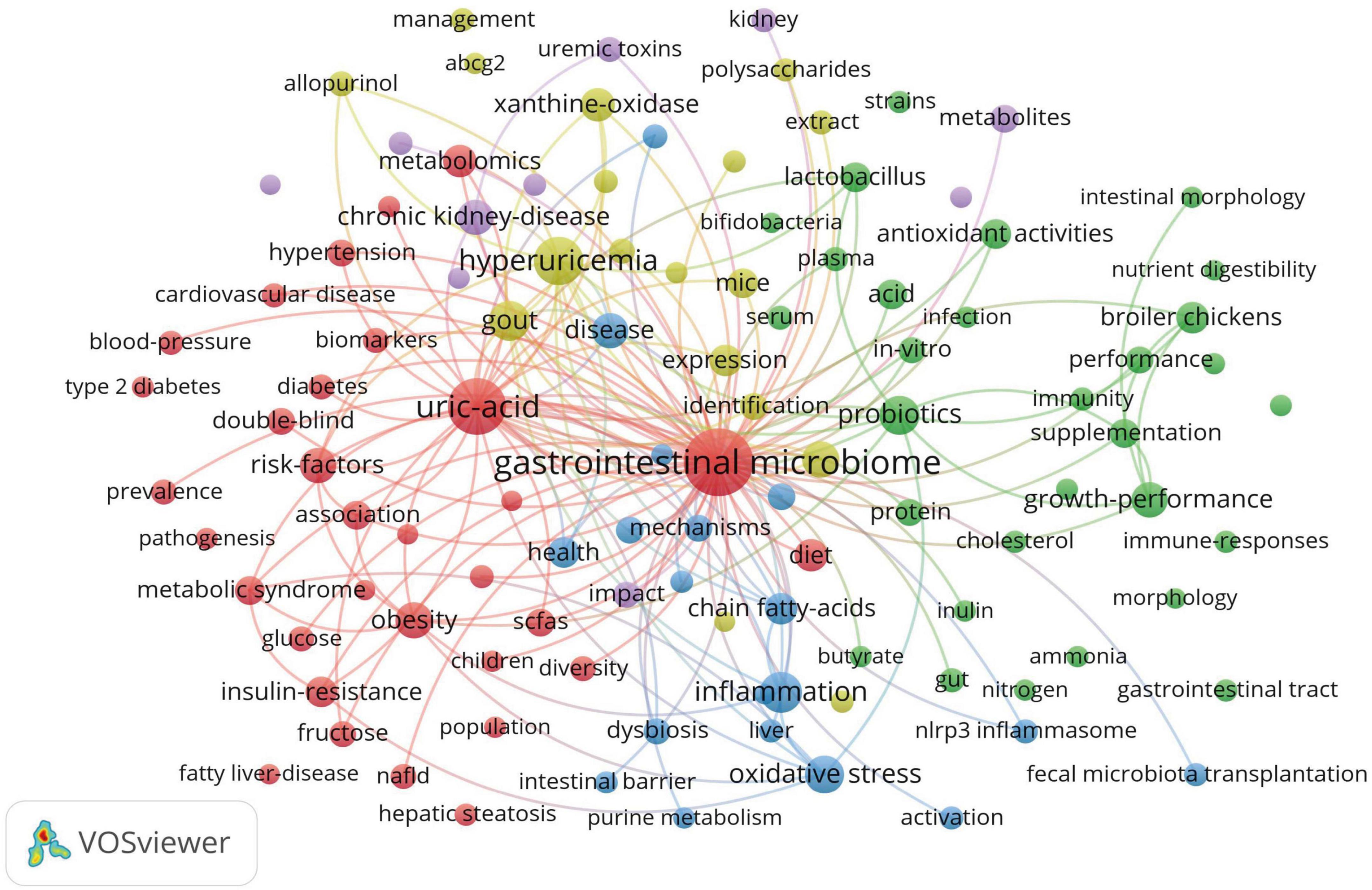 Network diagram illustrating the connections between keywords related to the gastrointestinal microbiome. Central terms include “gastrointestinal microbiome,” “uric acid,” and “inflammation,” linked to various subjects like “hyperuricemia,” “probiotics,” and “growth performance.” Nodes are color-coded, indicating topic clusters, and connected by lines representing relationships. Uses VOSviewer.