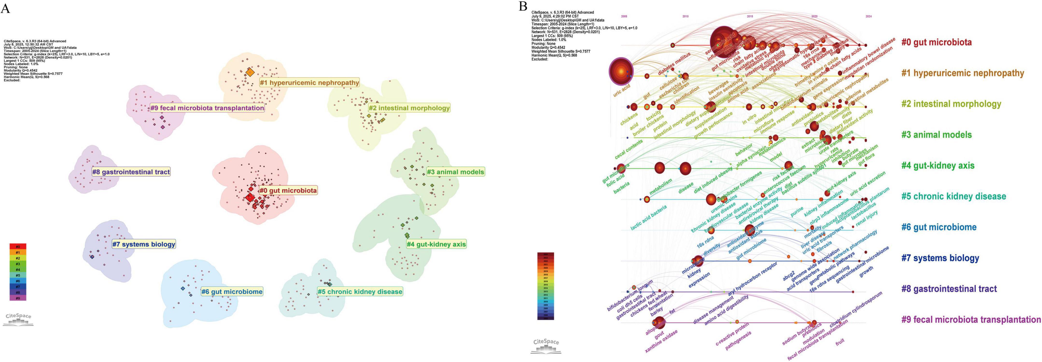 Visualization comprising two parts. Part A: A cluster map showing research topics related to gut microbiota, including keywords like gastrointestinal tract, hyperuricemic nephropathy, and chronic kidney disease. Part B: A citation network highlighting connections between these topics with lines and varying node sizes, reflecting publication frequency and relationships. Both parts are color-coded for clarity.