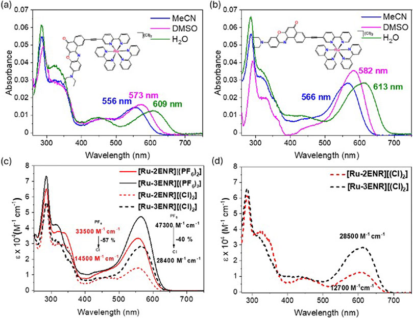 Graphs depicting absorption spectra of various ruthenium complexes in different solvents. Panels (a) and (b) show absorbance versus wavelength for MeCN, DMSO, and H₂O. Specific peaks are highlighted with wavelengths. Panels (c) and (d) show molar absorptivity with complex details and extinction coefficients. Inset illustrations depict chemical structures.