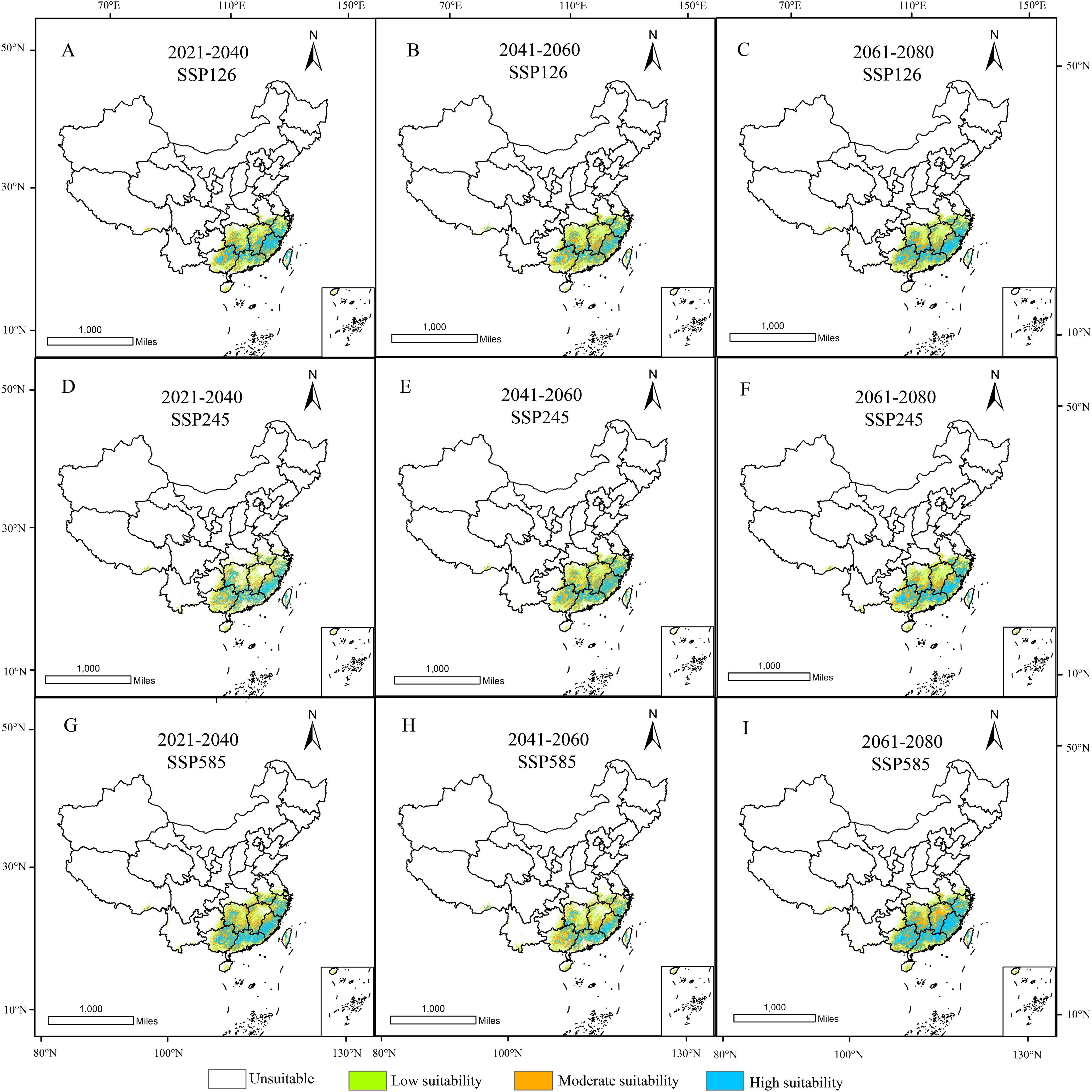 Nine maps of China depict habitat suitability under different scenarios (SSP126, SSP245, SSP585) over three time periods (2021-2040, 2041-2060, 2061-2080). Suitability is indicated by colors: grey for unsuitable, green for low, yellow for moderate, and blue for high.