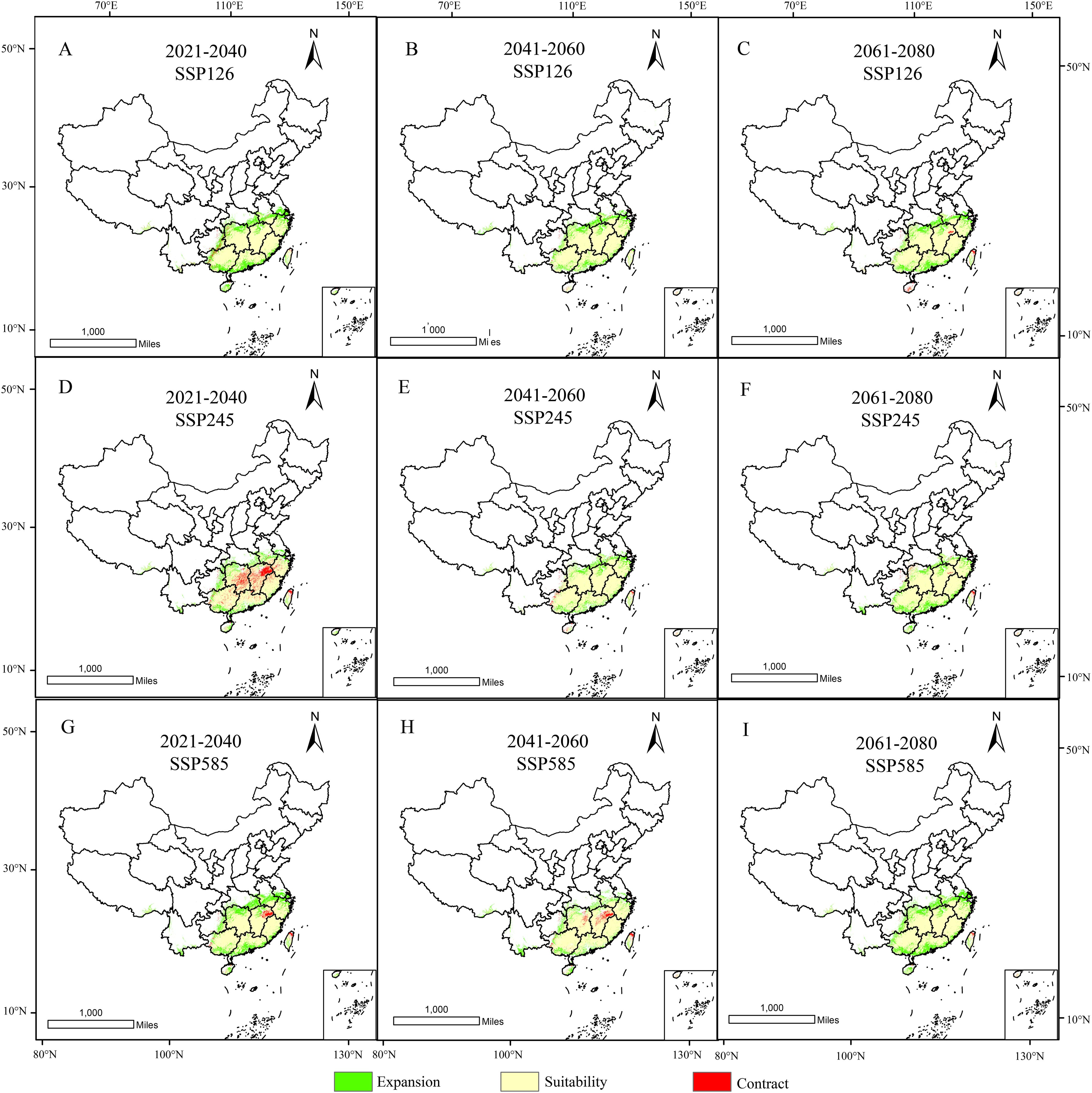 Nine-panel map series showing the projected changes in geographical suitability for a species across China from 2021 to 2080 under three SSP scenarios: SSP126, SSP245, and SSP585. Each row represents a different SSP scenario, while each column represents a future time period. Color codes indicate areas of expansion (green), suitability (yellow), and contraction (red).