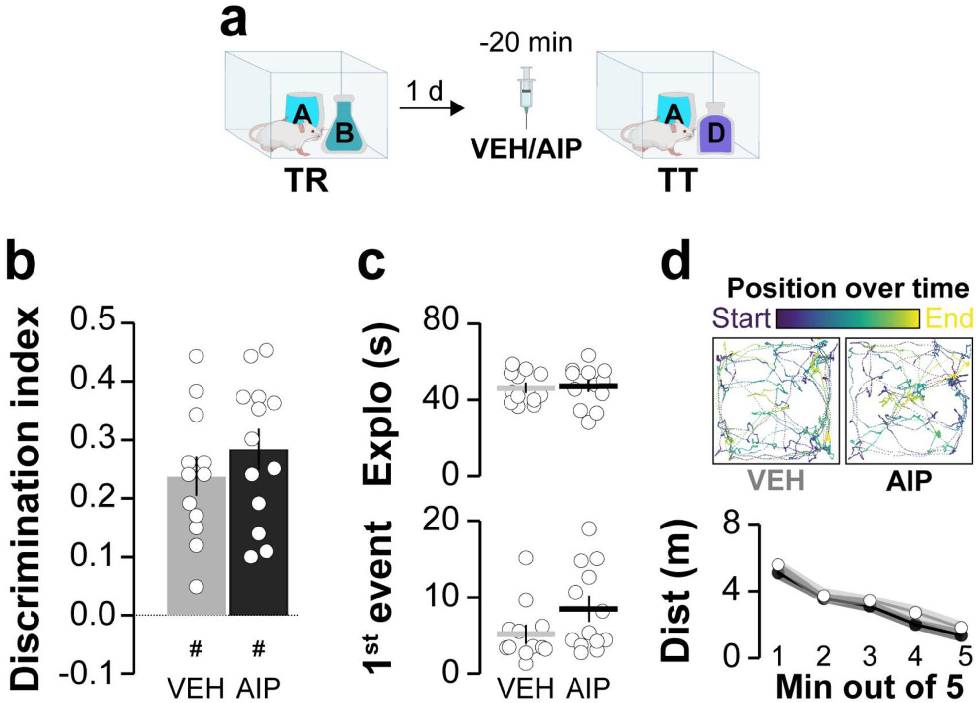 Diagram showing an experimental setup and results from a study. Panel (a) depicts the experimental timeline, showing two testing rooms (TR and TT) and the administration of VEH/AIP. Panel (b) presents a bar graph of discrimination index scores for VEH and AIP groups, with dots representing individual data points. Panel (c) includes dot plots showing exploration time and the time of the first event for VEH and AIP groups. Panel (d) features two path maps of VEH and AIP movements, with a line graph depicting distance traveled over five minutes, showing no significant differences between groups.